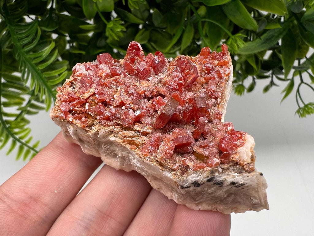 Red Vanadinite on Barite Specimen, Morocco Mineral Cluster
