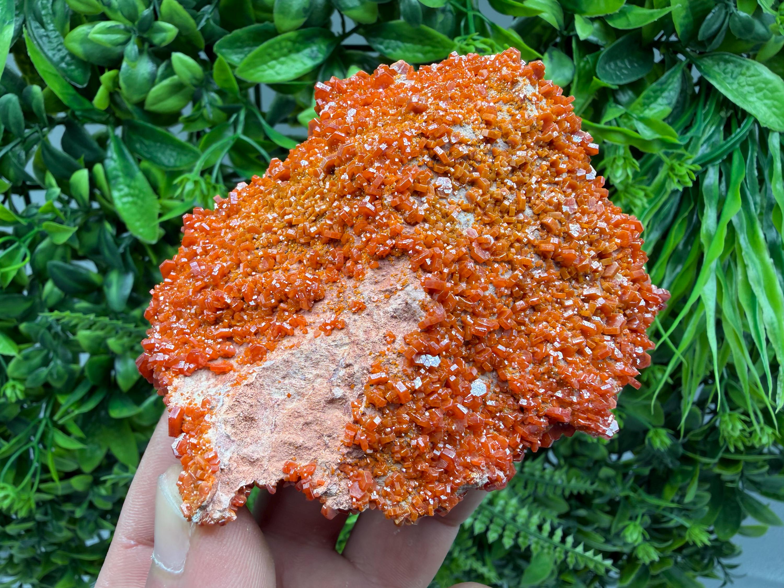 Red Vanadinite on Matrix from Marocco,crystal minerals Speciment cluster Vanadinite crystal Vanadinite Geology Vanadinite cluster minerals