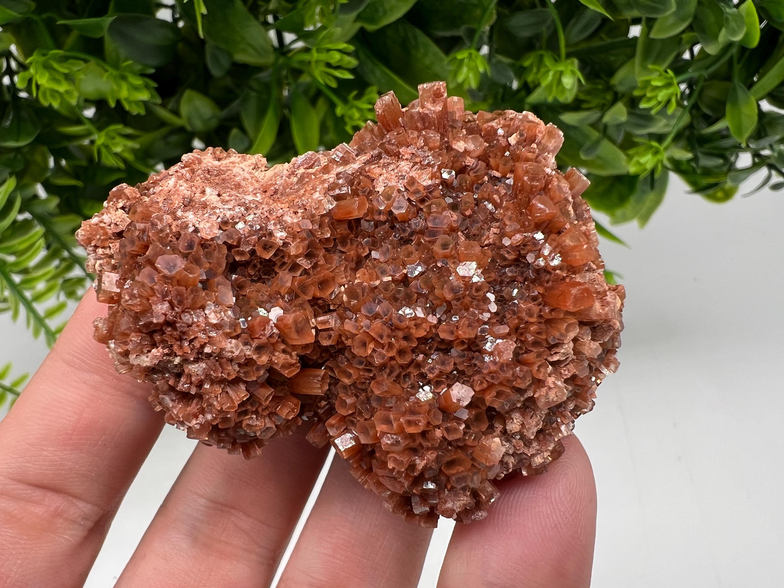 Large Aragonite Sputnik Cluster: Raw Moroccan Crystal Stone, Home Decor