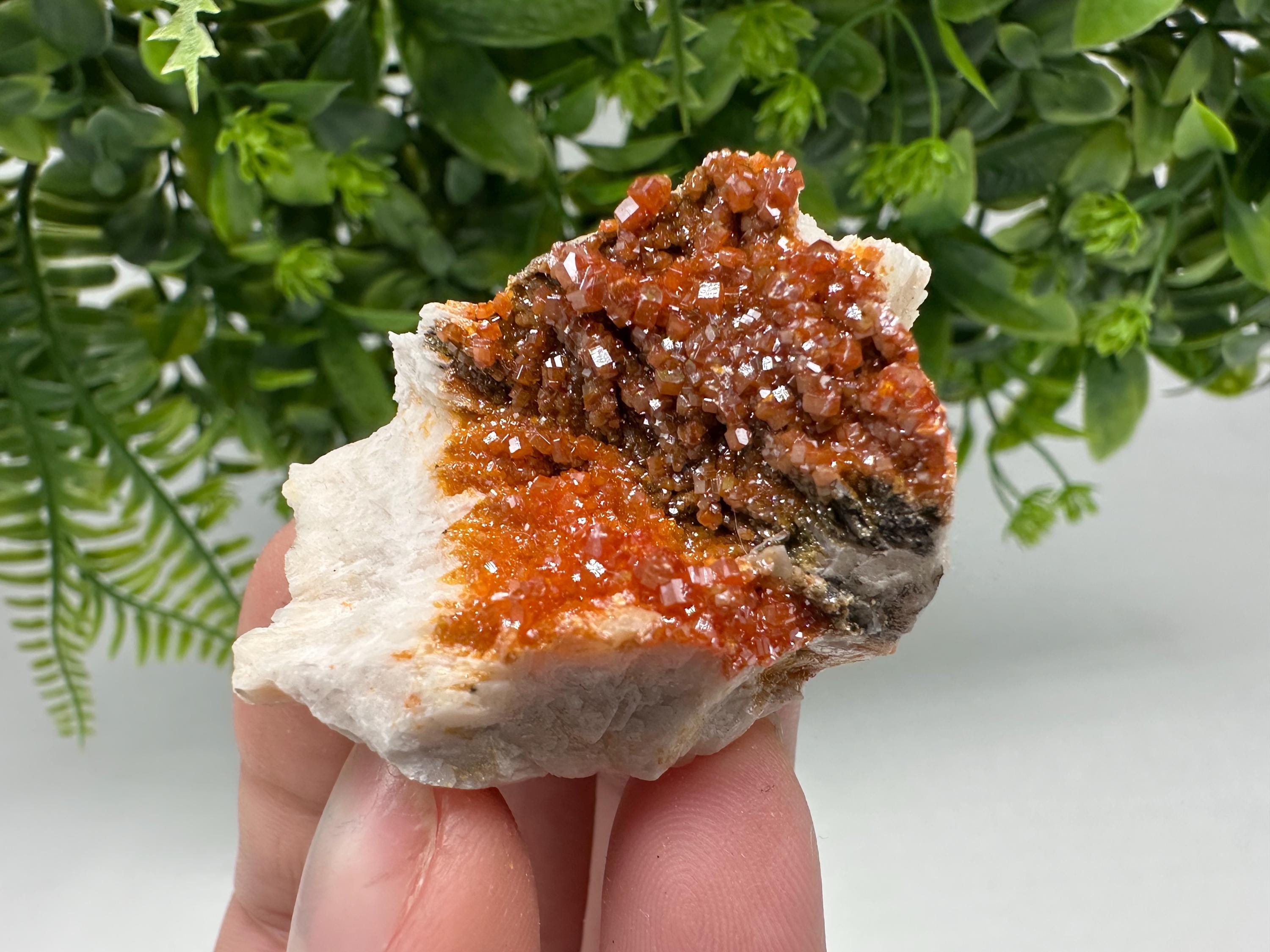 Red Vanadinite on Barite Cluster, Moroccan Mineral Specimen (5/3.5/2.5 cm)