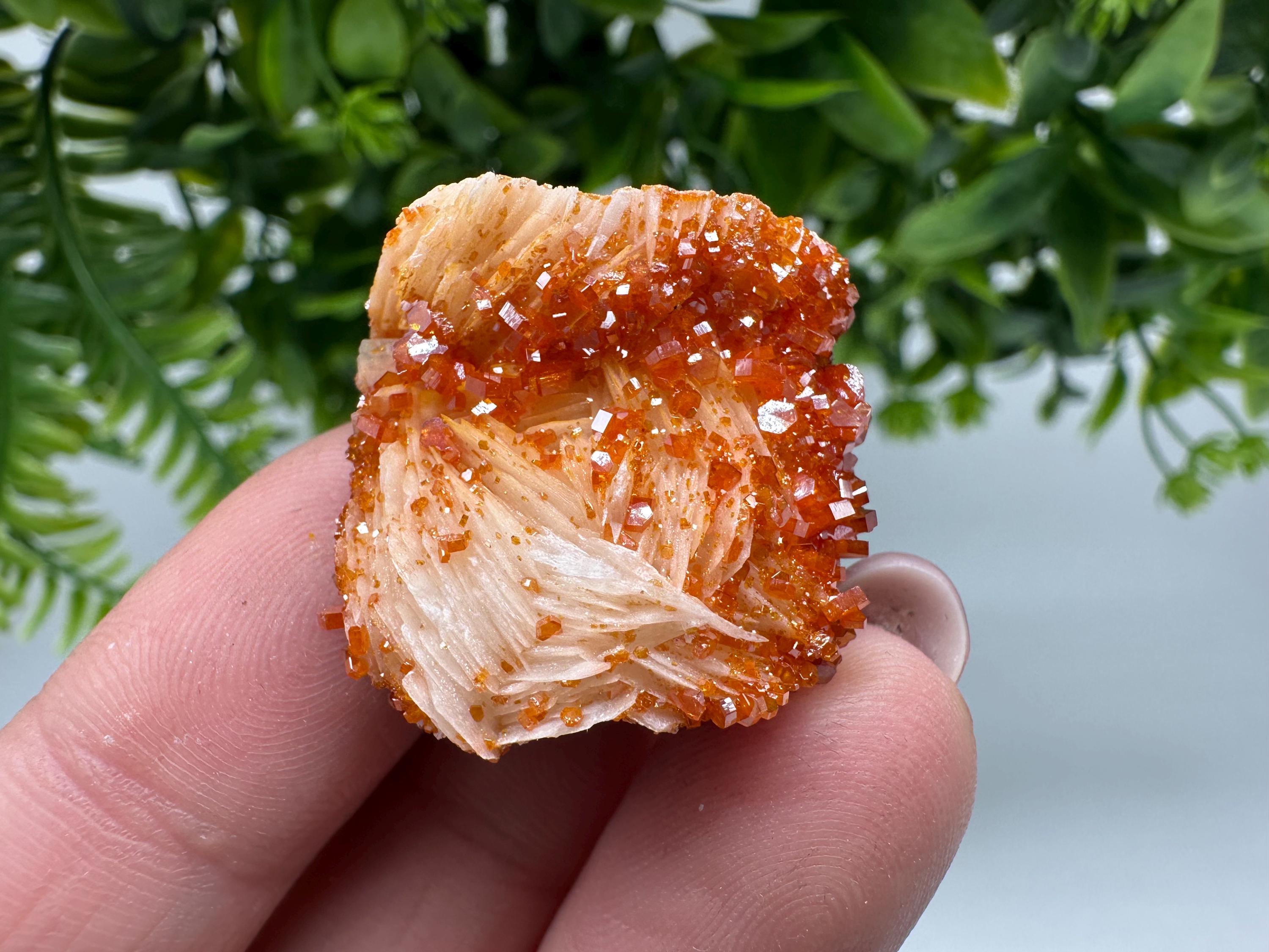 Red Vanadinite on Barite Cluster, Morocco Mineral Specimen