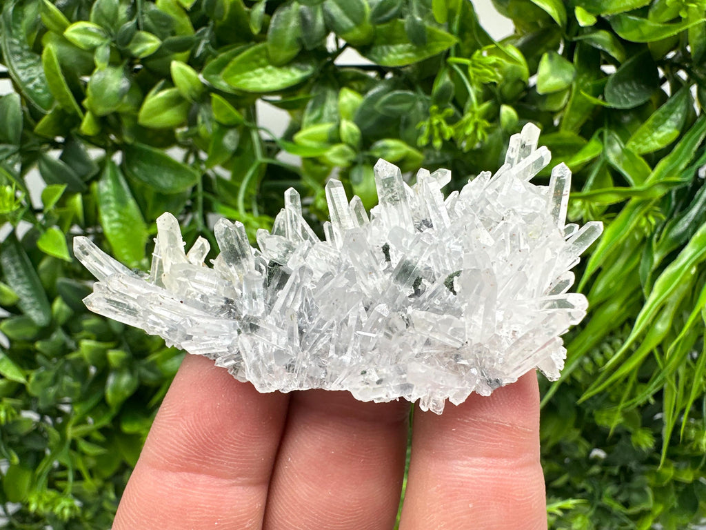 Chlorite Quartz Crystal Cluster - Borieva Mine, Bulgaria