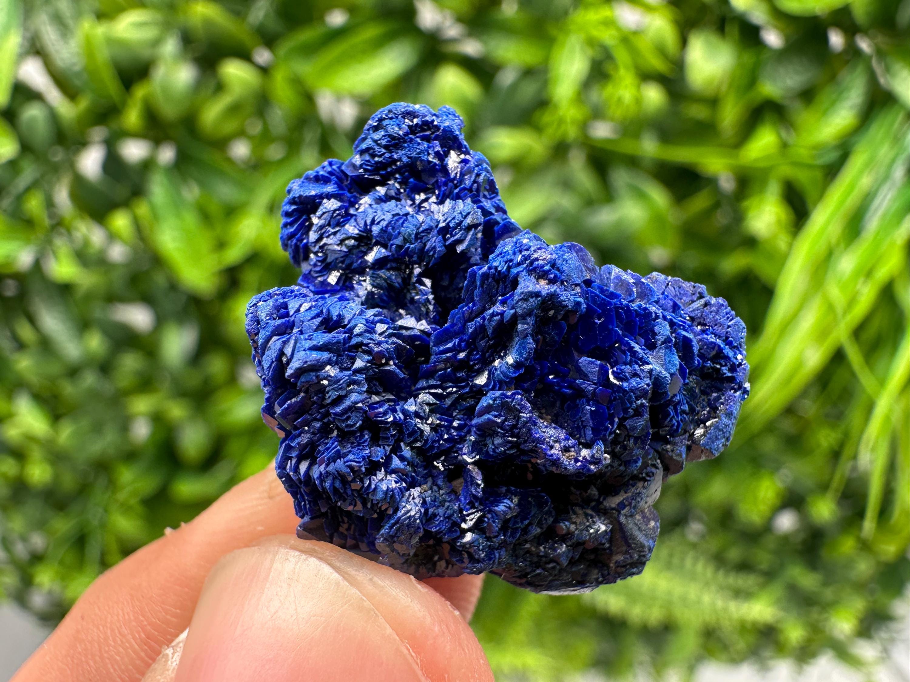 Crystallized Azurite-Kerrouchen,Morocco-Blue Azurite Specimen-High Quality Blue Azurite-Azurite Mineral Specimen, gemmy,lustrous of Azurite