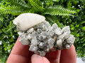Quartz Calcite Rhodochrosite Cluster, Djurcovo Mine, Bulgaria