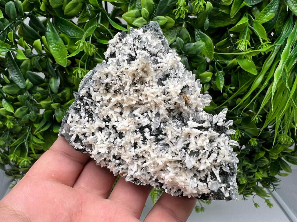 Calcite Quartz on Chlorite Matrix: Borieva Mine, Bulgaria