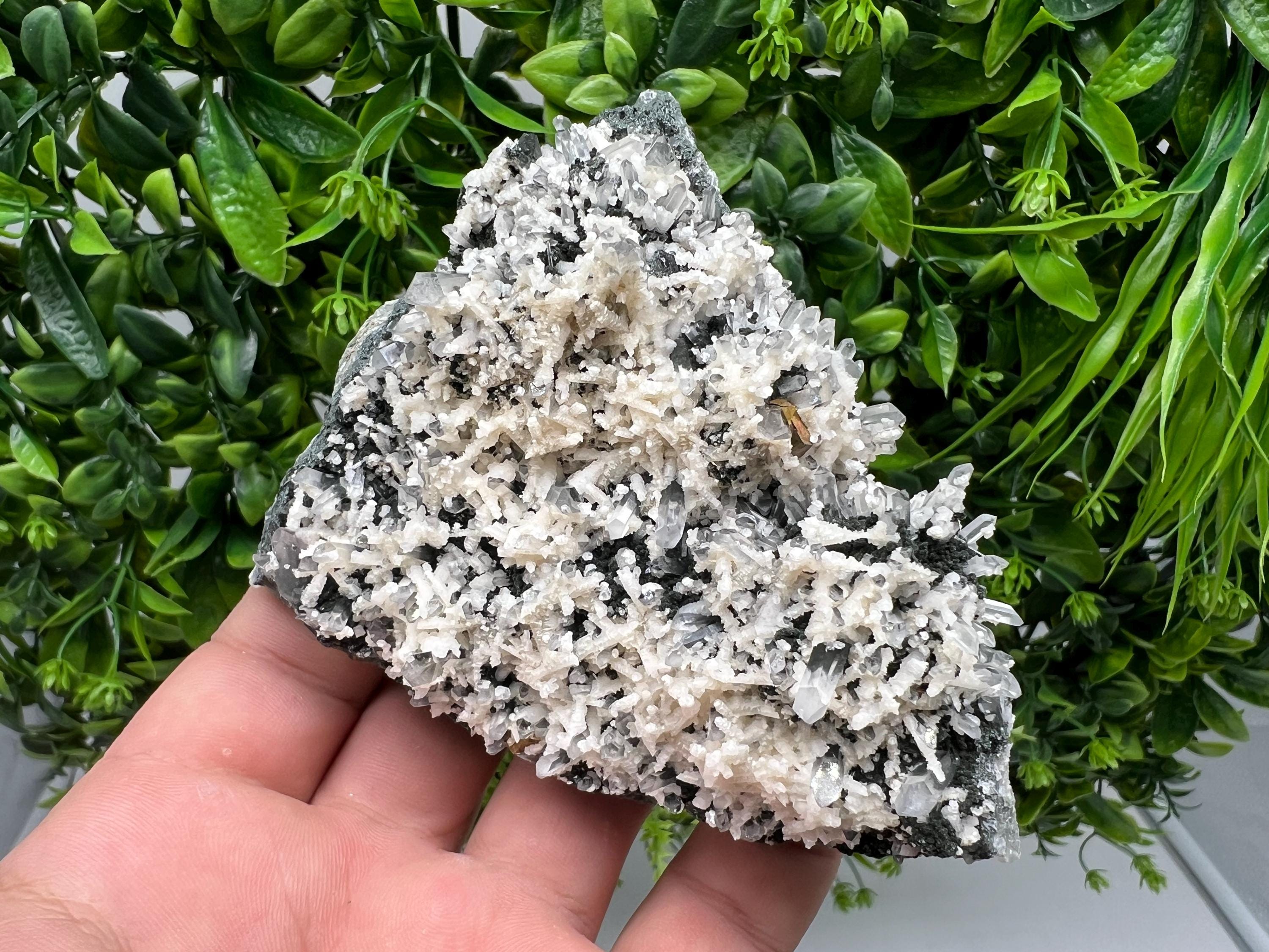 Calcite Quartz on Chlorite Matrix: Borieva Mine, Bulgaria