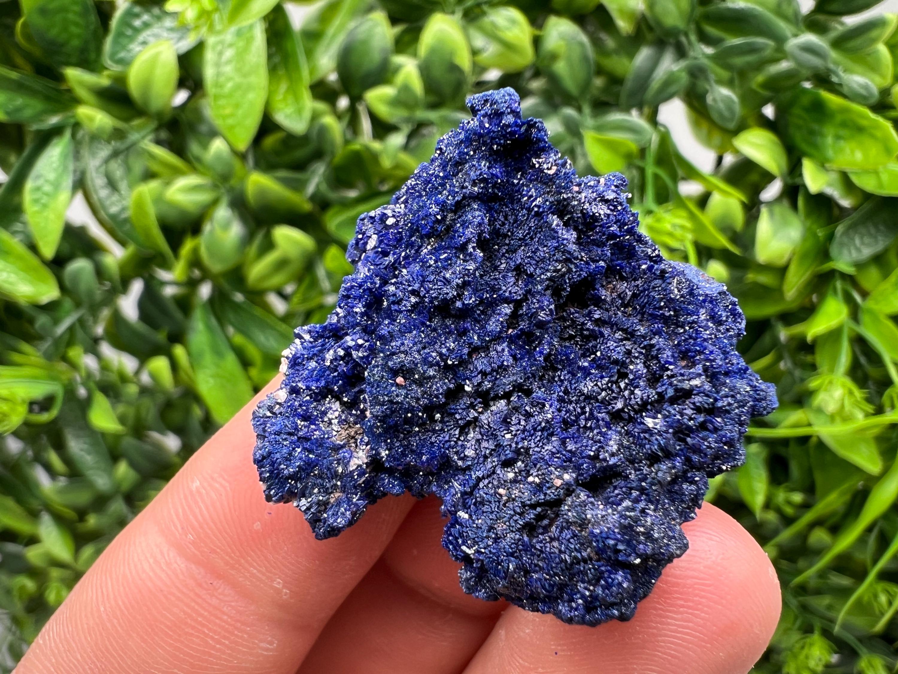 Crystallized Azurite-Kerrouchen,Morocco-Blue Azurite Specimen-High Quality Blue Azurite-Azurite Mineral Specimen, gemmy,lustrous of Azurite