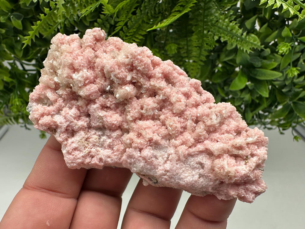 Pink Rhodochrosite Mineral Specimen: Starnica Mine, Bulgaria