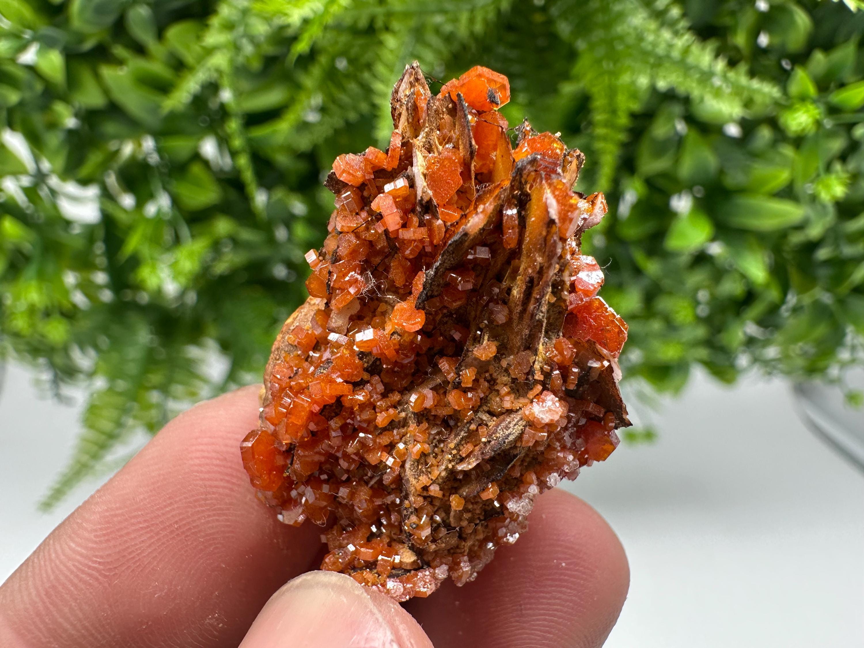 Red Vanadinite on Barite from Marocco,crystal minerals Speciment cluster Vanadinite crystal Vanadinite Geology Vanadinite cluster minerals
