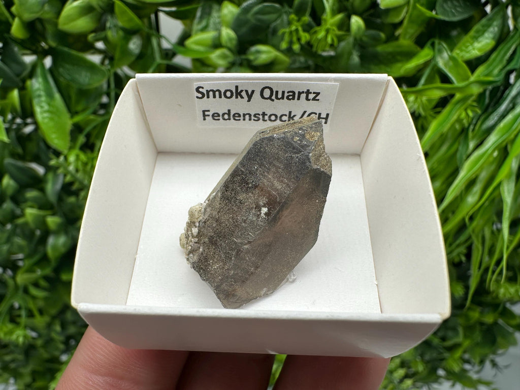 Rare Smoky Quartz Point from Fedenstock Switzerland (35mm)