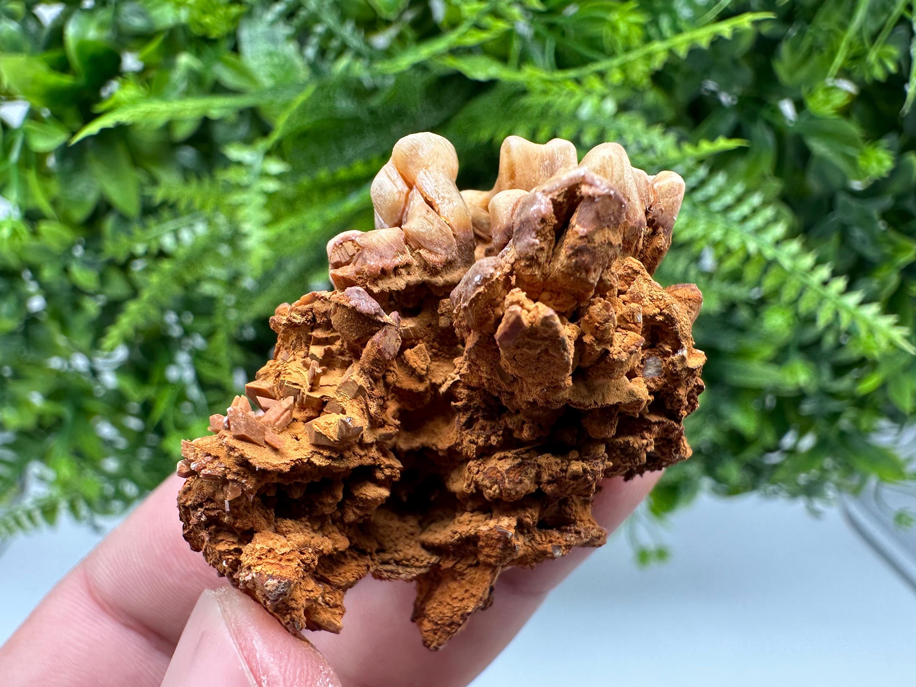 Brown Gypsum Selenite Crystal, Rudna Mine Mineral Specimen