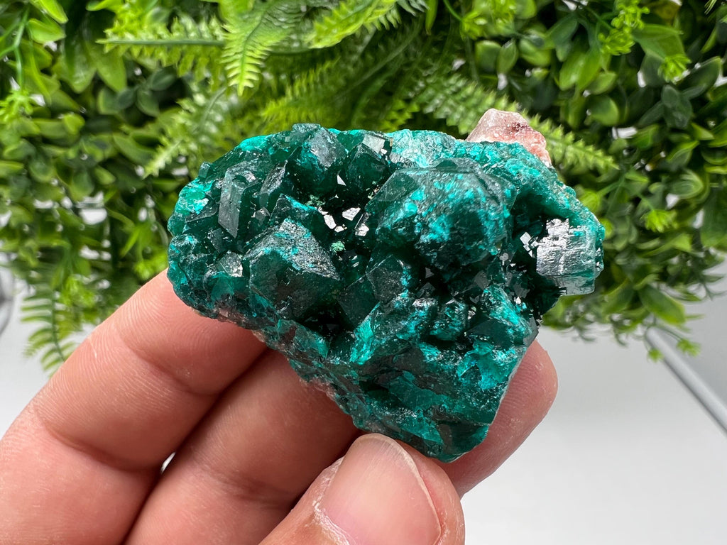 Stunning Green Dioptase from Sanda Hills,Mindouli,Pool Department,Mindouli District,Congo,green Dioptase,Dioptas Crystal,Dioptase collecting
