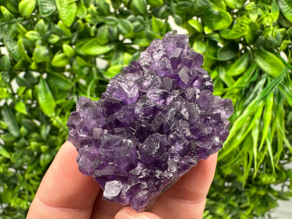 Uruguay Amethyst Cluster: Purple Quartz Crystal, Home Decor