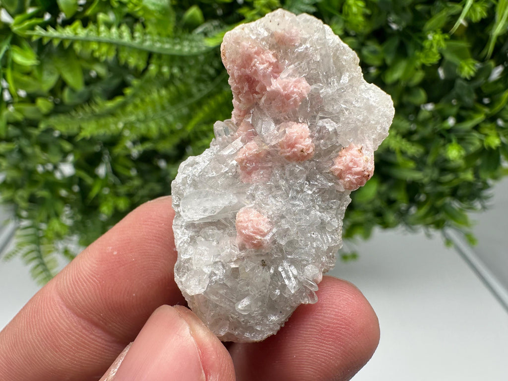 Rhodochrosite on Quartz: Pink Crystal Home Decor, Bulgaria Mineral Souvenir