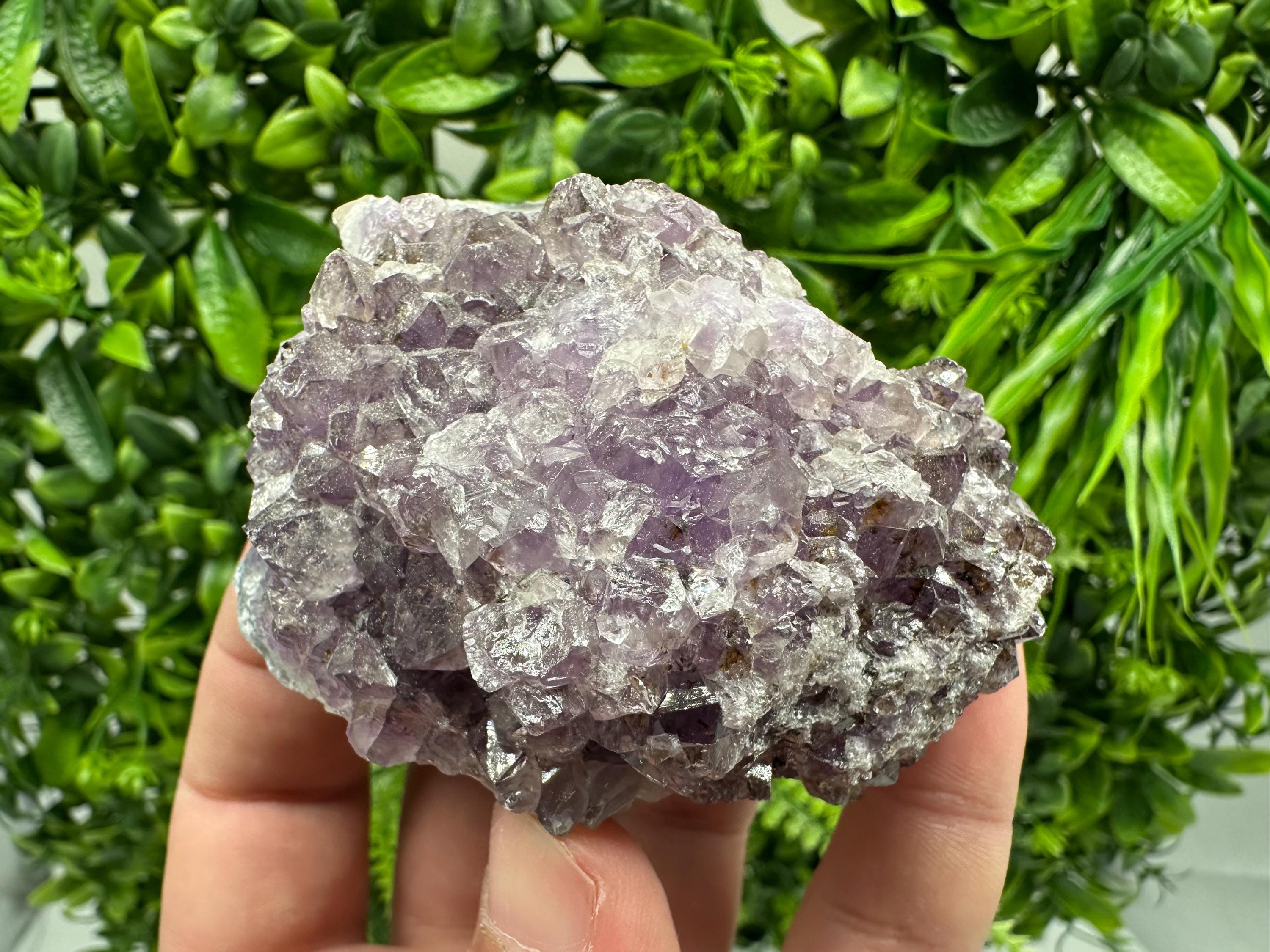 Brazilian Amethyst Cluster, Purple Quartz Crystal Specimen