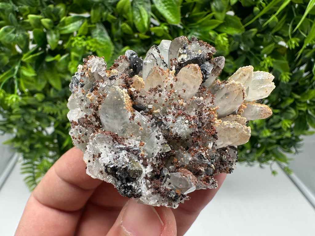 Wonderful Sphalerite Chalcopyrite on Green Quartz whit Hematite feom 9 th September mine,Bulgaria,natural,collection mineral specimen,gift