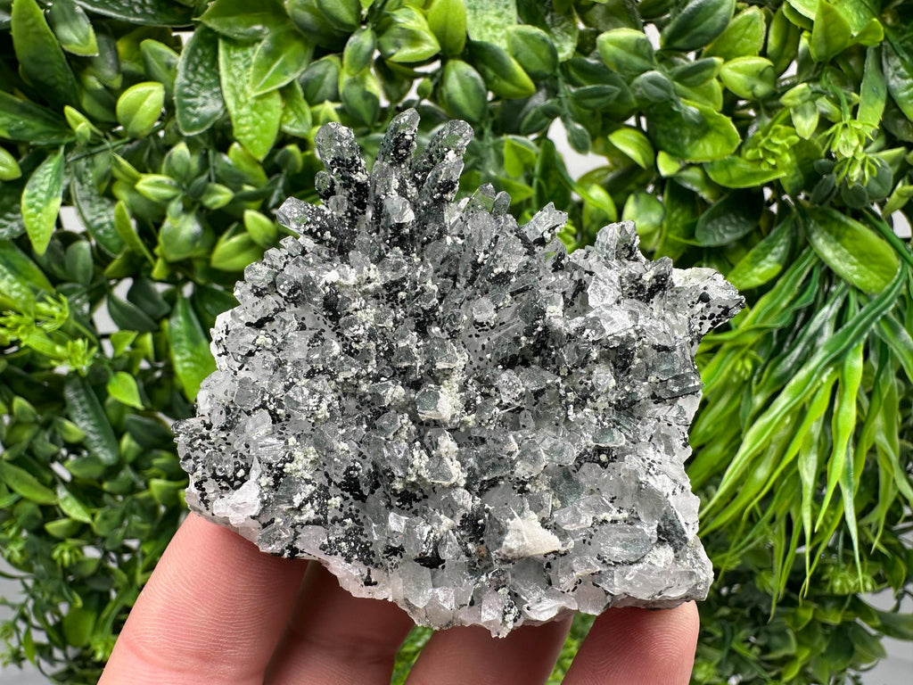 Chlorite Quartz Mineral Specimen, Borieva Mine, Bulgaria
