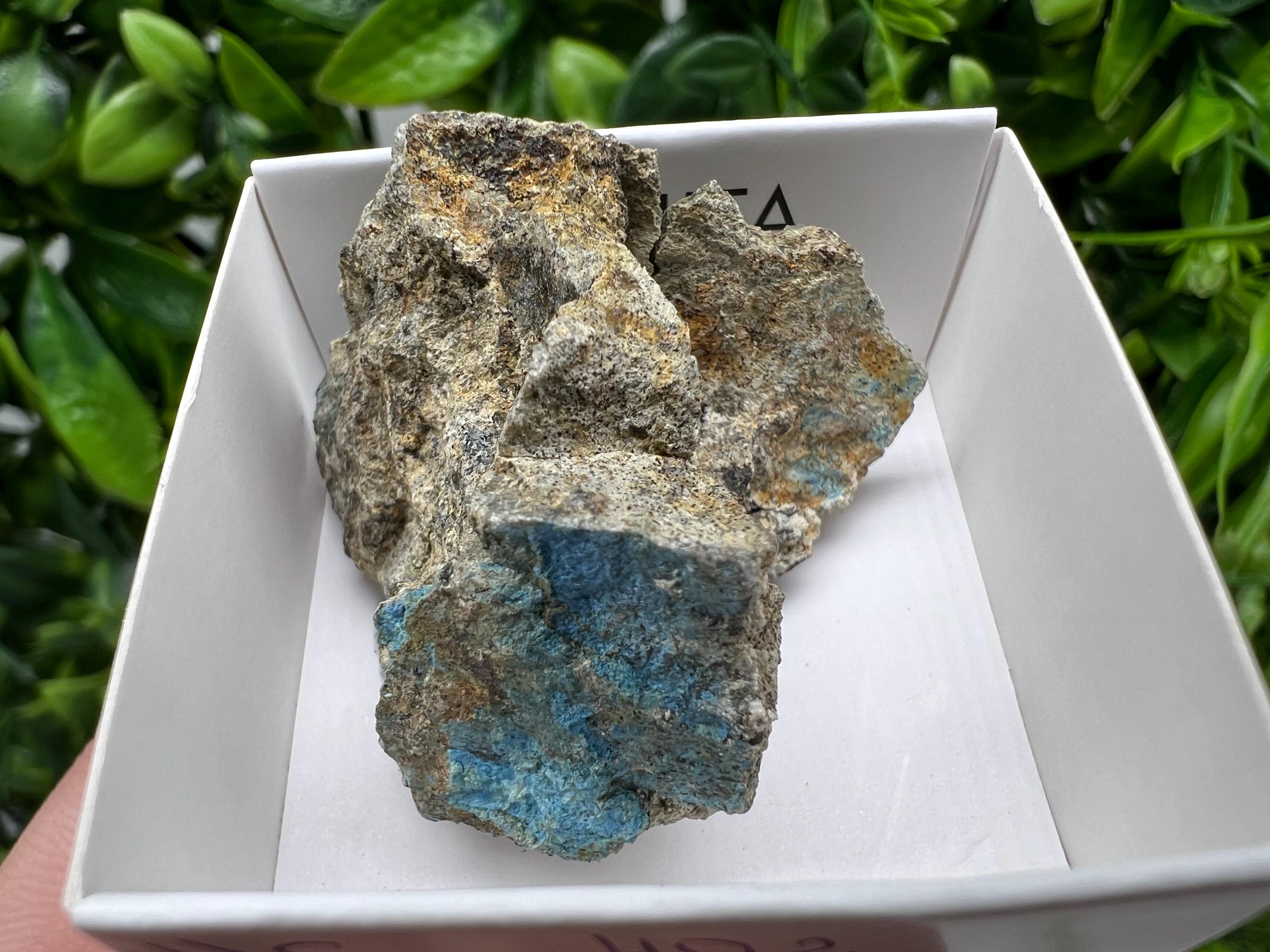Rare Raw Aerinite Mineral Specimen: Lleida, Spain Crystal