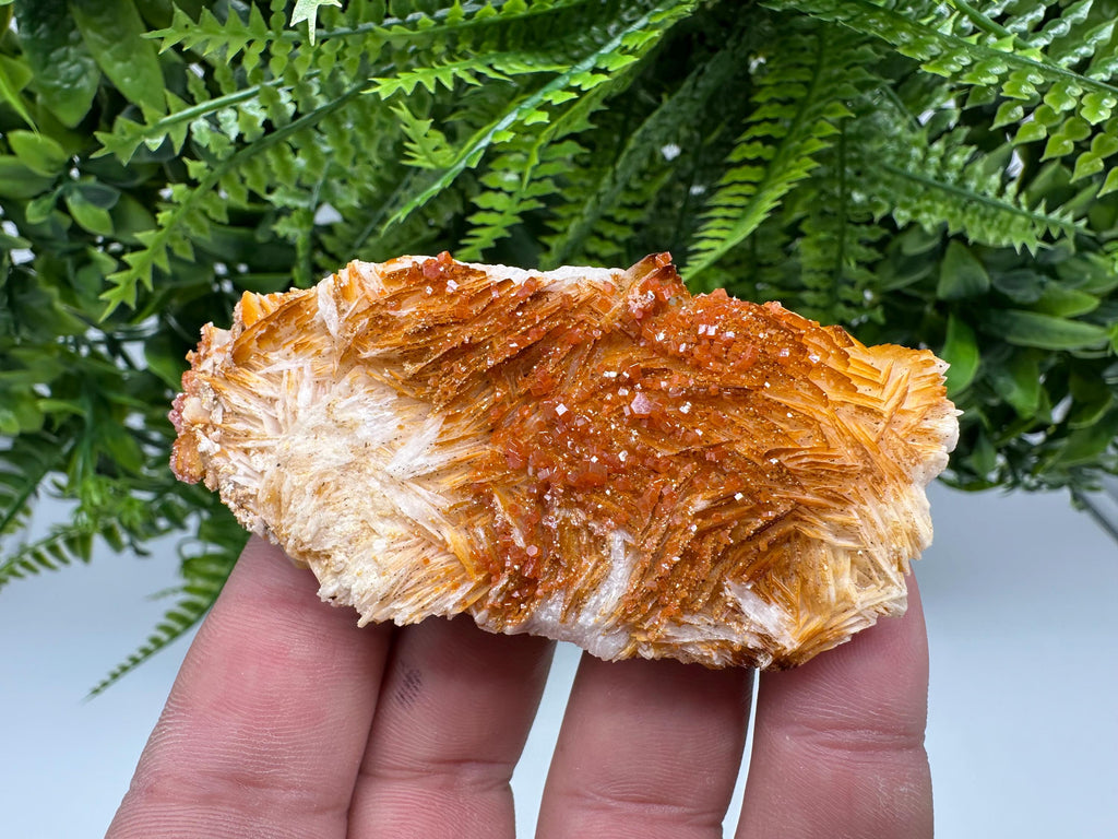 Red Vanadinite on Barite, Morocco Crystal Cluster