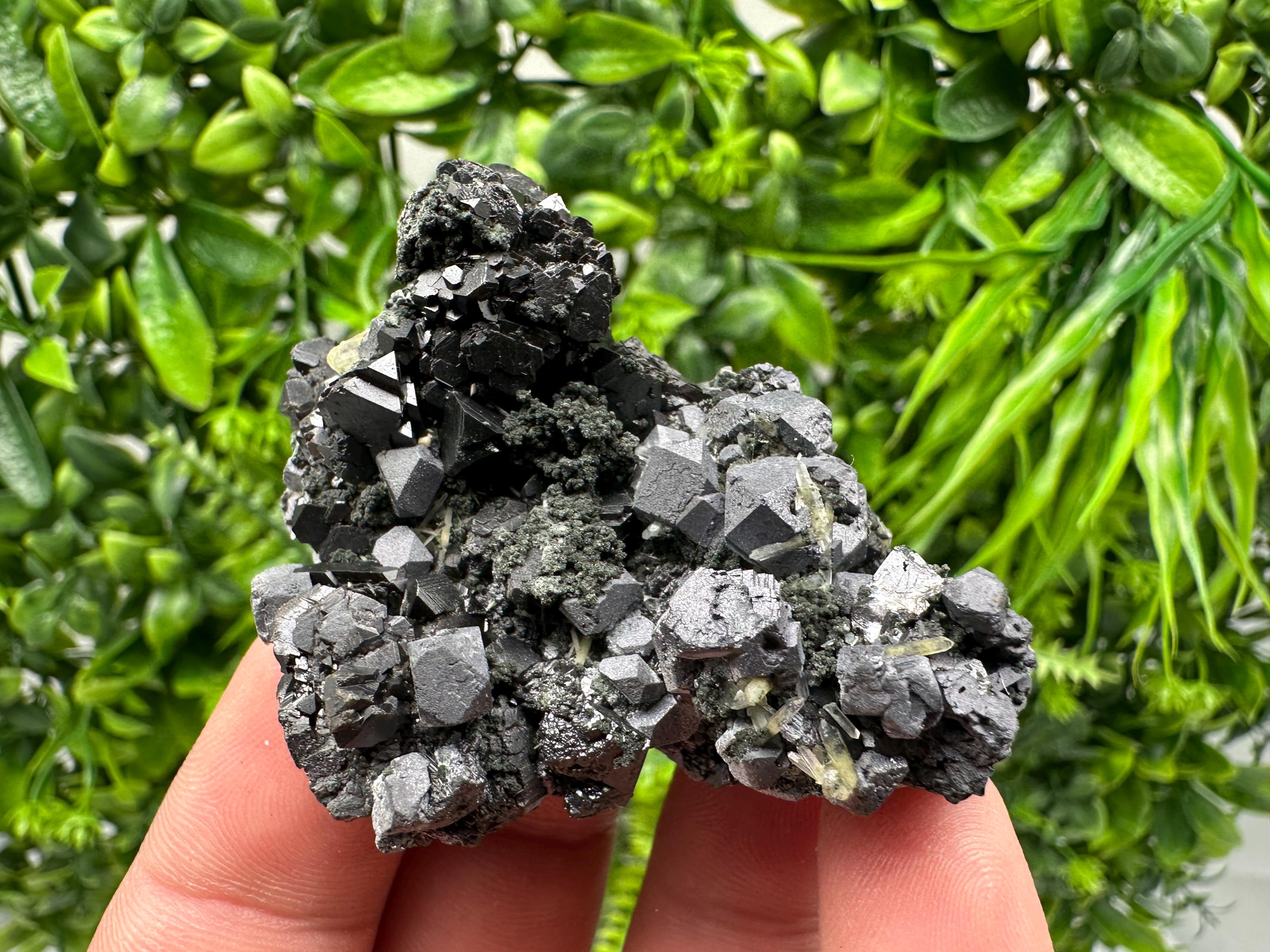 Sphalerite Galena Chlorite Cluster, Borieva Mine, Bulgaria