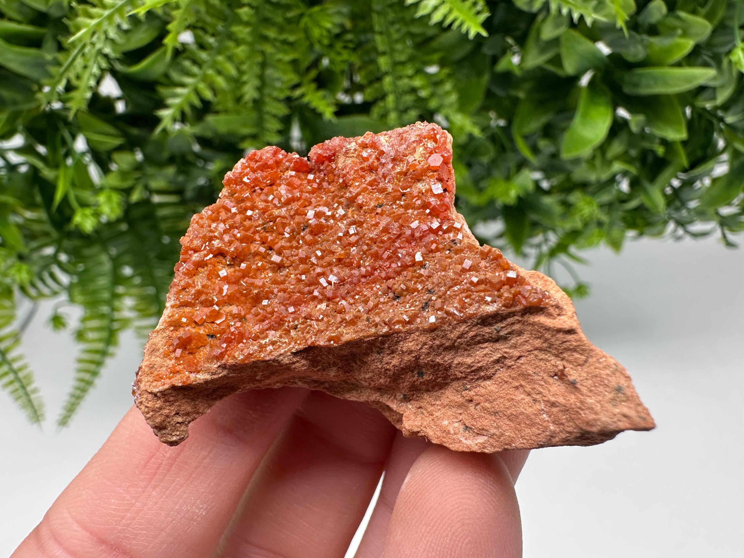 Red Vanadinite on Matrix from Marocco,crystal minerals Speciment cluster Vanadinite crystal Vanadinite Geology Vanadinite cluster minerals
