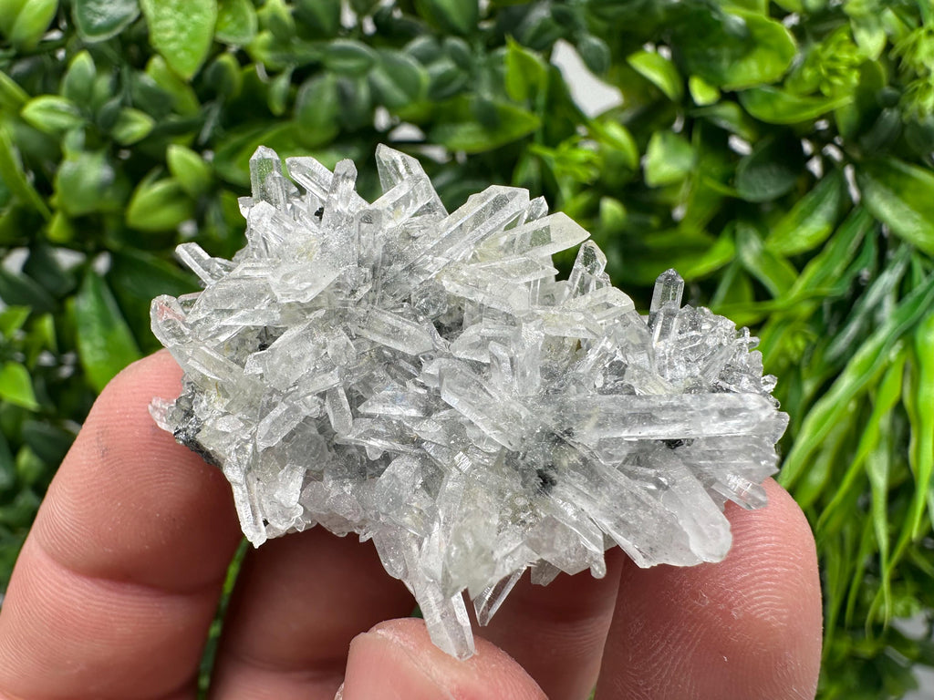 Quartz with Epidote Specimen: Borieva Mine, Bulgaria