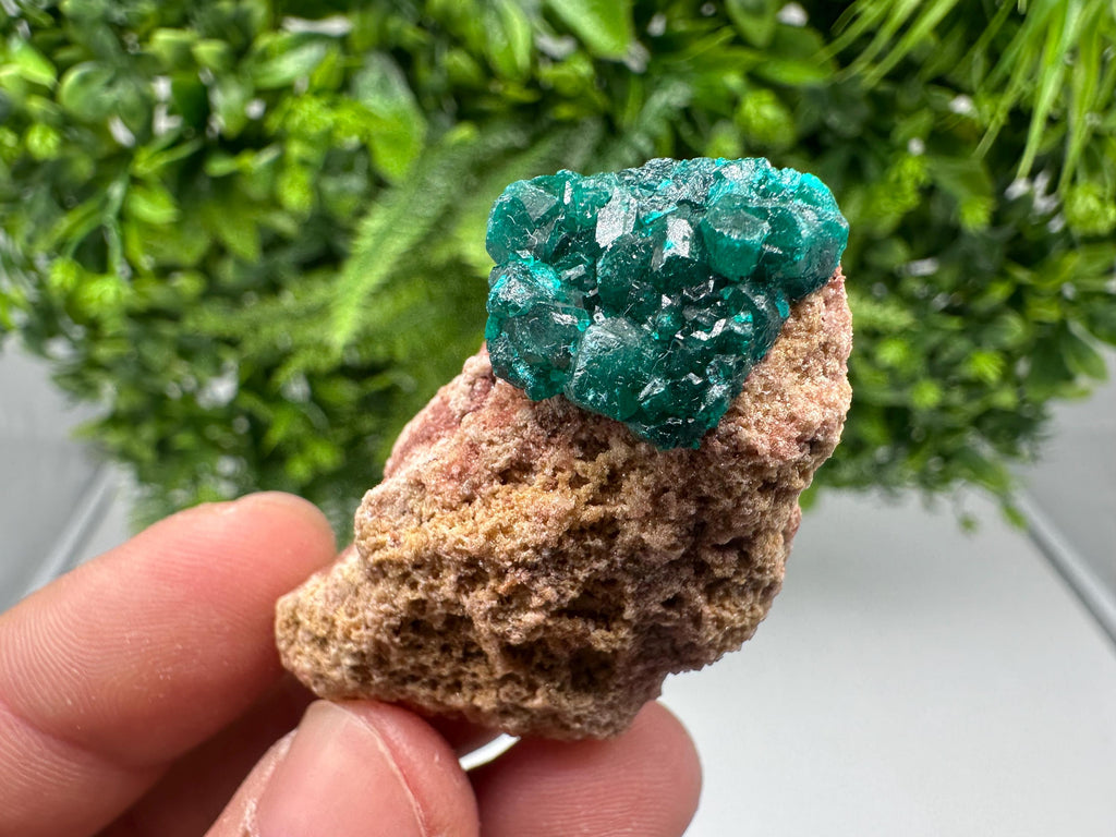 Stunning Green Dioptase from Sanda Hills,Mindouli,Pool Department,Mindouli District,Congo,green Dioptase,Dioptas Crystal,Dioptase collecting