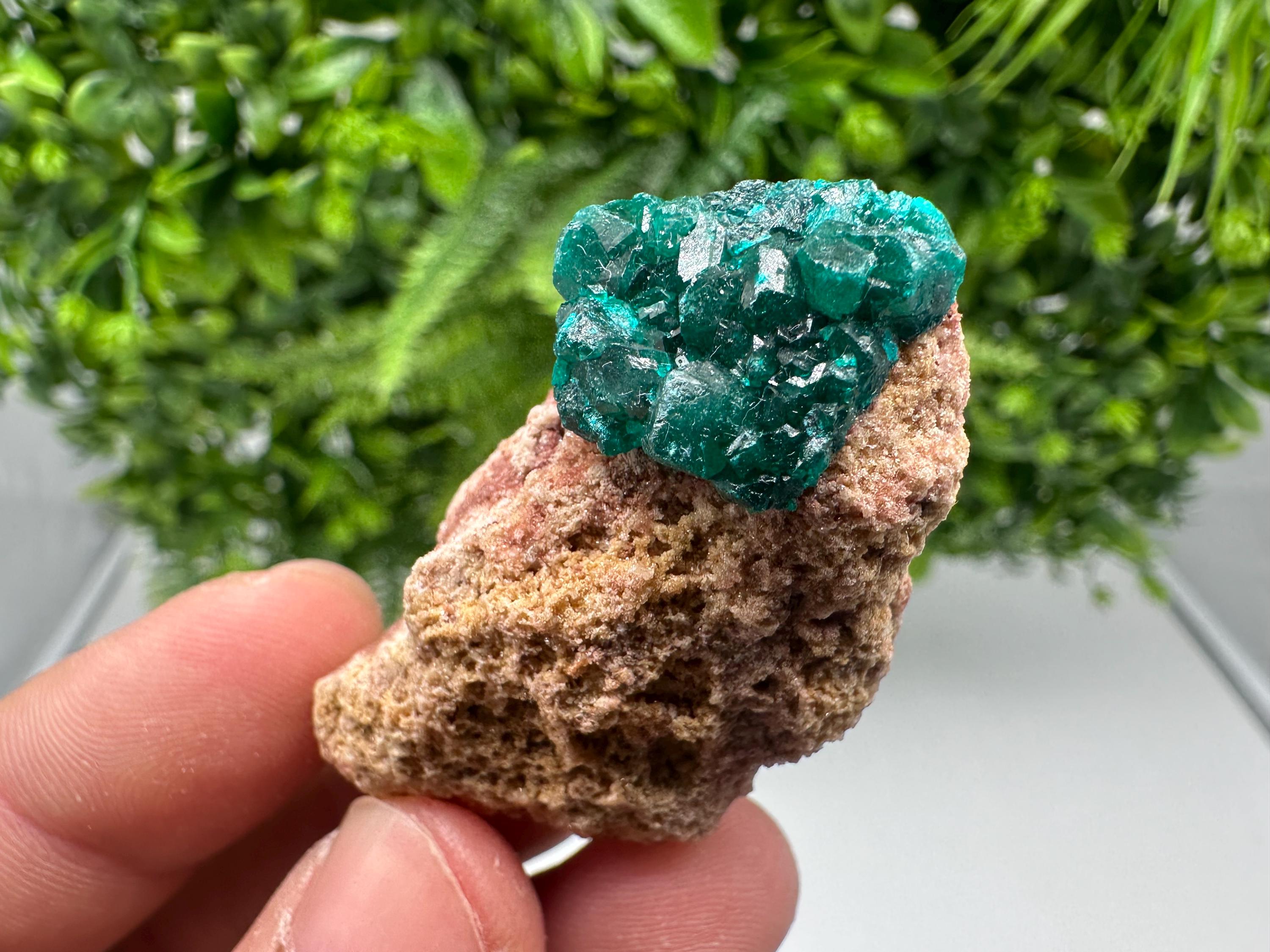 Stunning Green Dioptase from Sanda Hills,Mindouli,Pool Department,Mindouli District,Congo,green Dioptase,Dioptas Crystal,Dioptase collecting