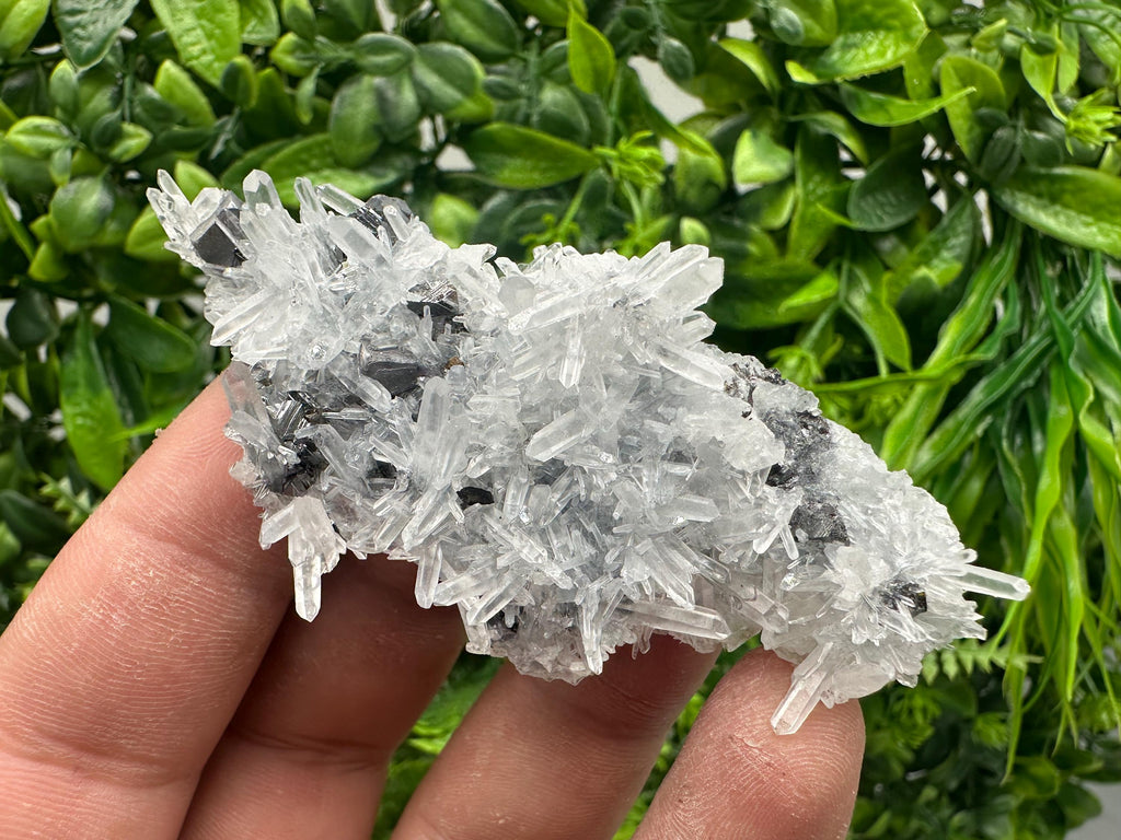 Sphalerite on Green Quartz, Borieva Mine Mineral Specimen