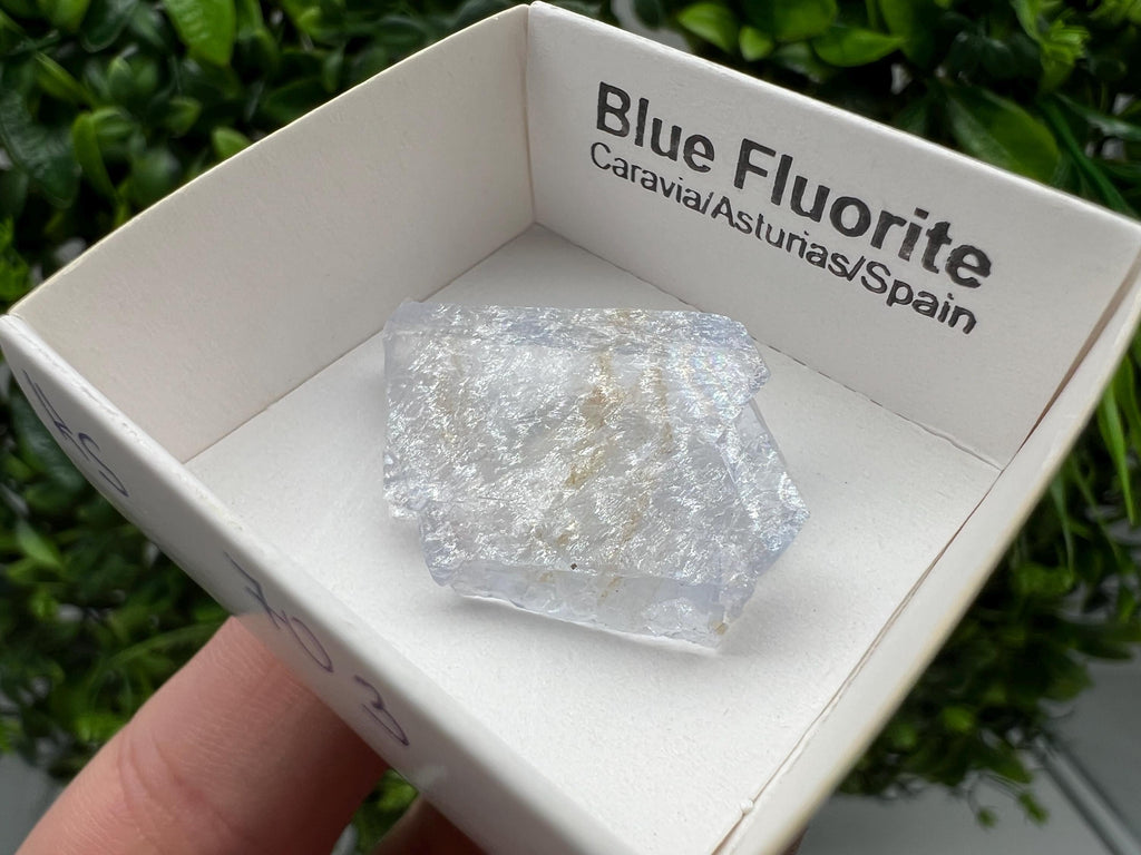 Blue Fluorite Mineral Specimen: Spain Collection (3/2 cm