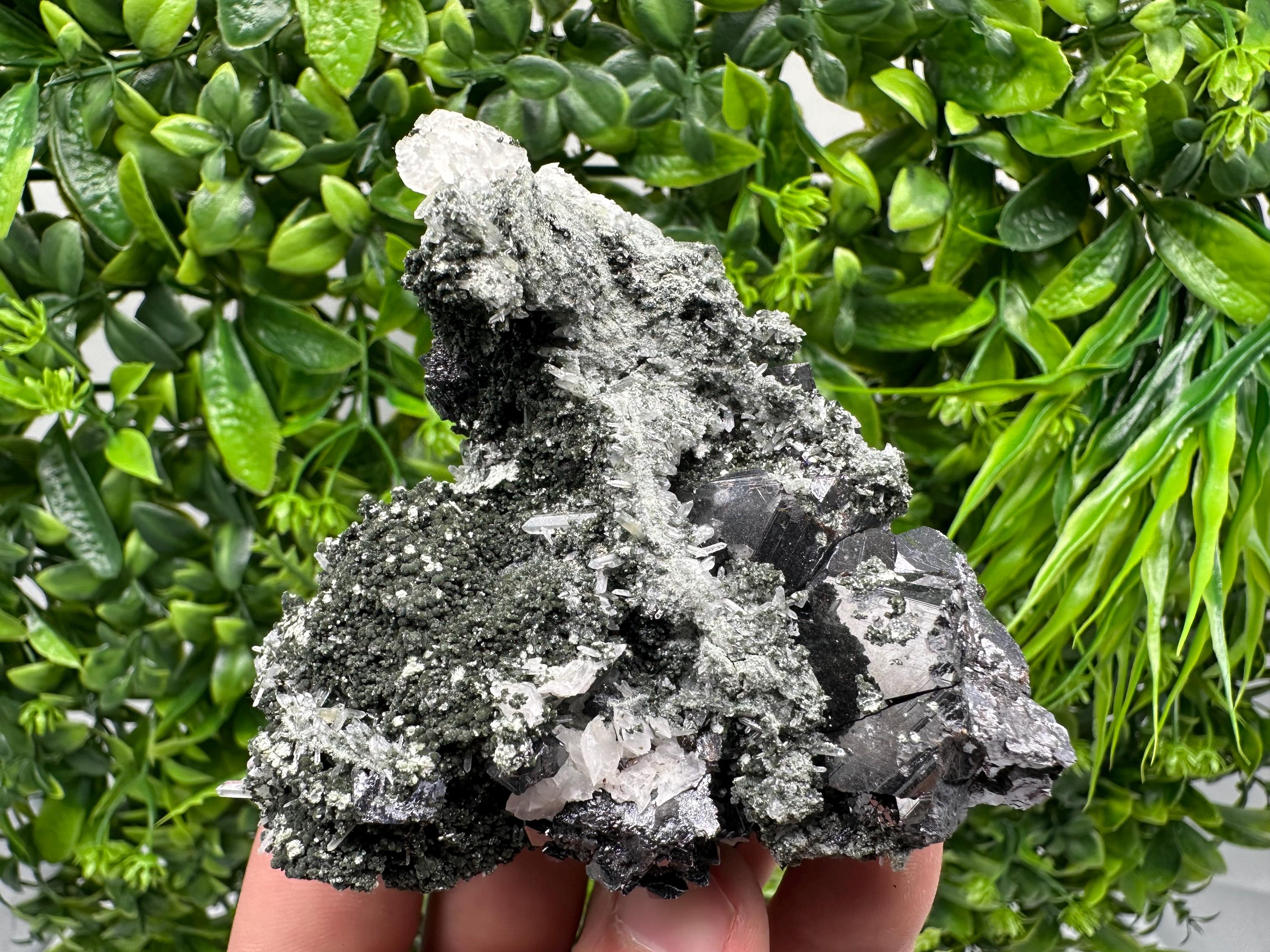 Galena Quartz Sphalerite Mineral Specimen: Borieva Mine, Bulgaria
