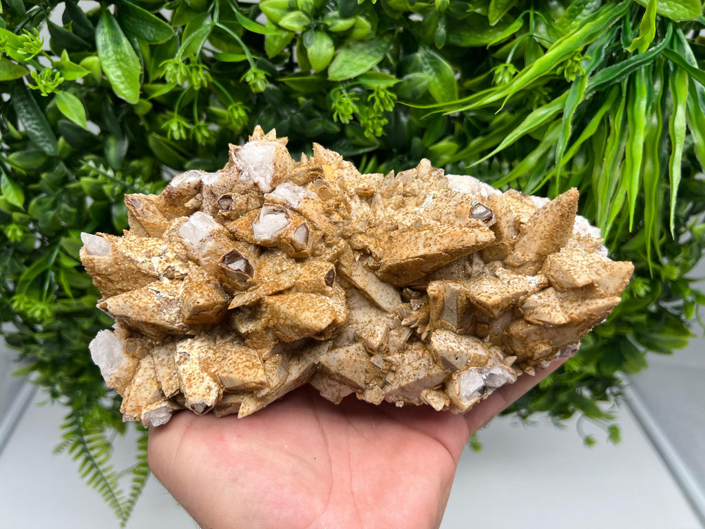 Stunning Brown Rhodochrosite on Calcite,Chalcedony,from Djurcovo mine,Bulgaria,natural collection mineral specimen,home decor crystal,gift
