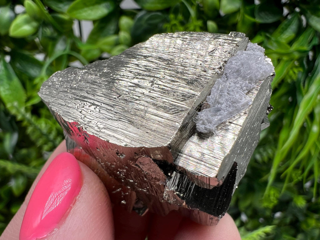 Wonderful Pyrite,floating Pyrite,rare Crystals natural minerals souvenir Crystal,collection stone,rare minerals,home decor,Borieva Bulgaria