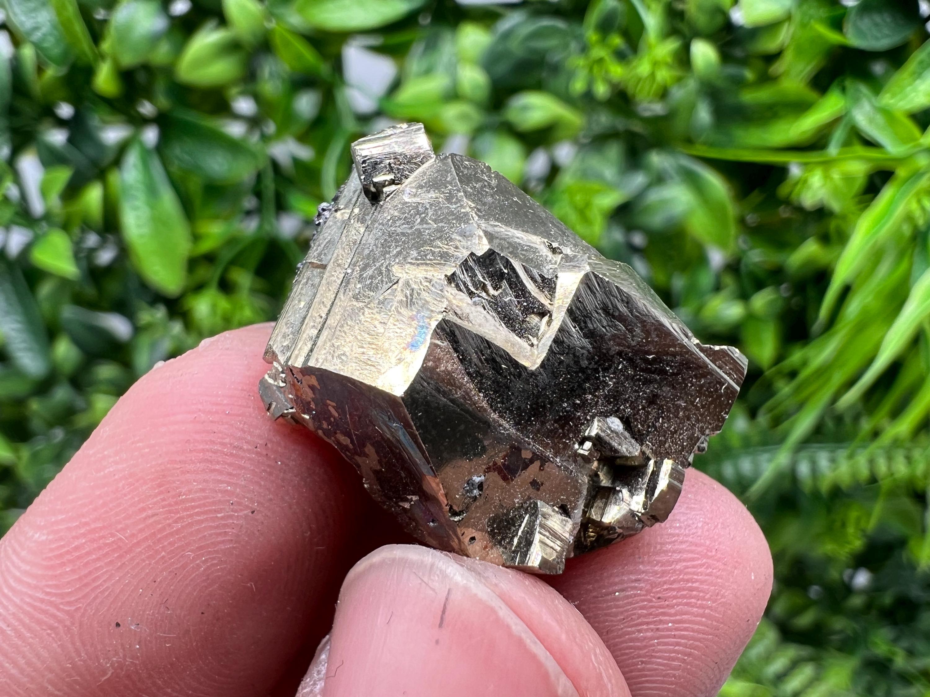 Rare Crystallization Pyrite Cluster, Borieva Mine, Bulgaria