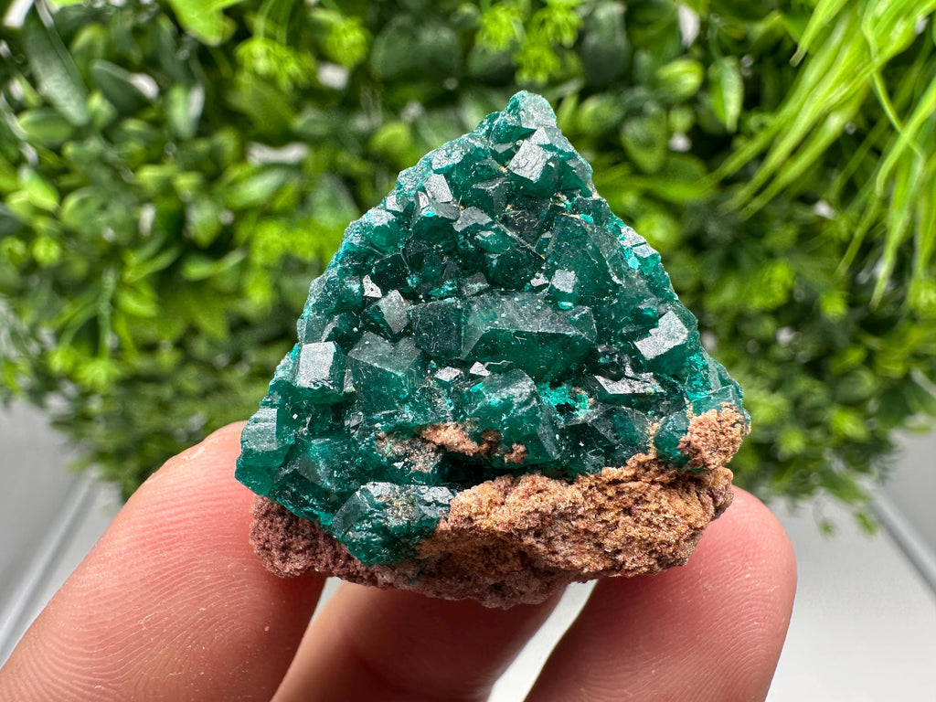 Stunning Green Dioptase from Sanda Hills,Mindouli,Pool Department,Mindouli District,Congo,green Dioptase,Dioptas Crystal,Dioptase collecting