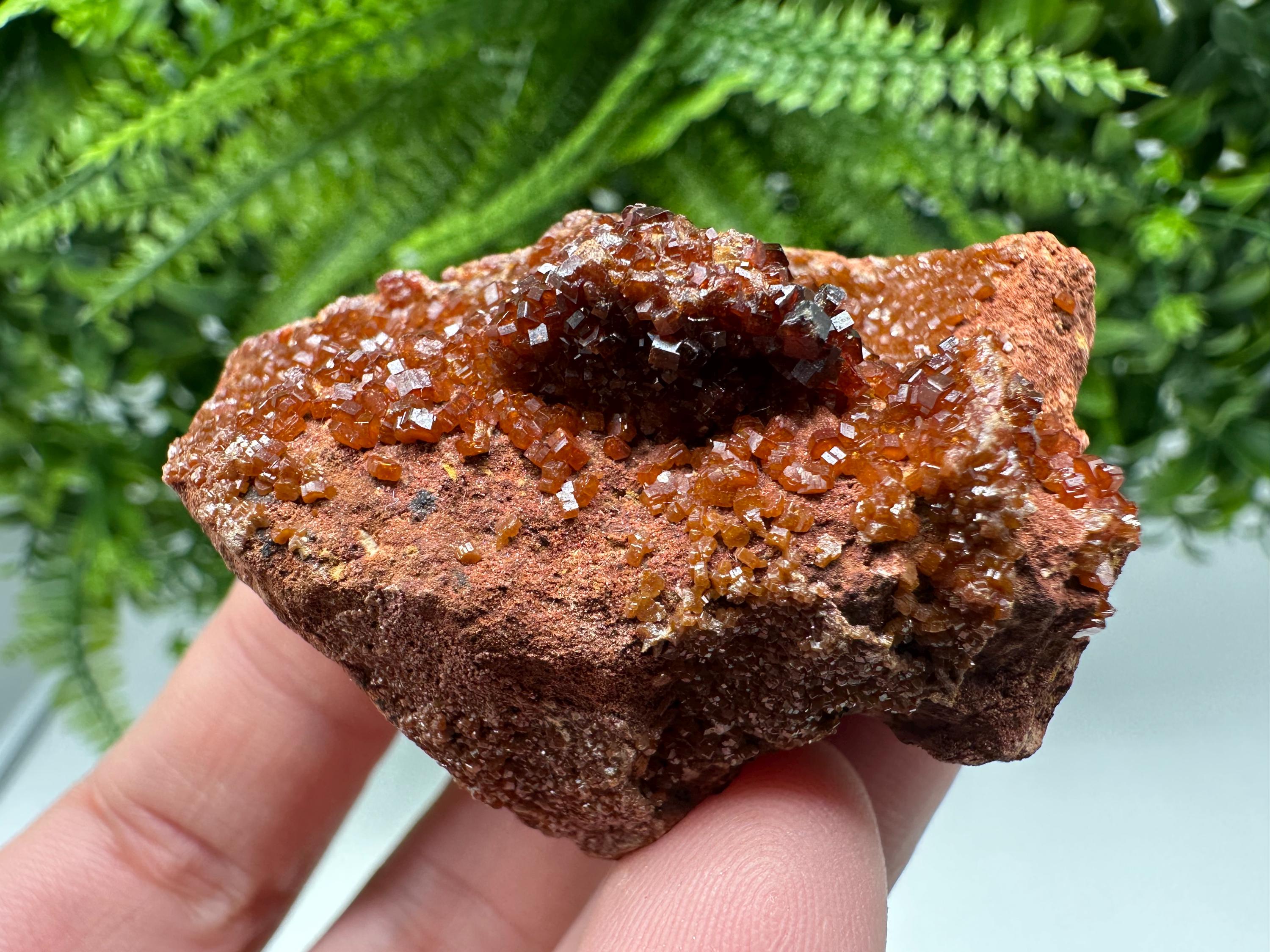 Red Vanadinite on Matrix from Marocco,crystal minerals Speciment cluster Vanadinite crystal Vanadinite Geology Vanadinite cluster minerals