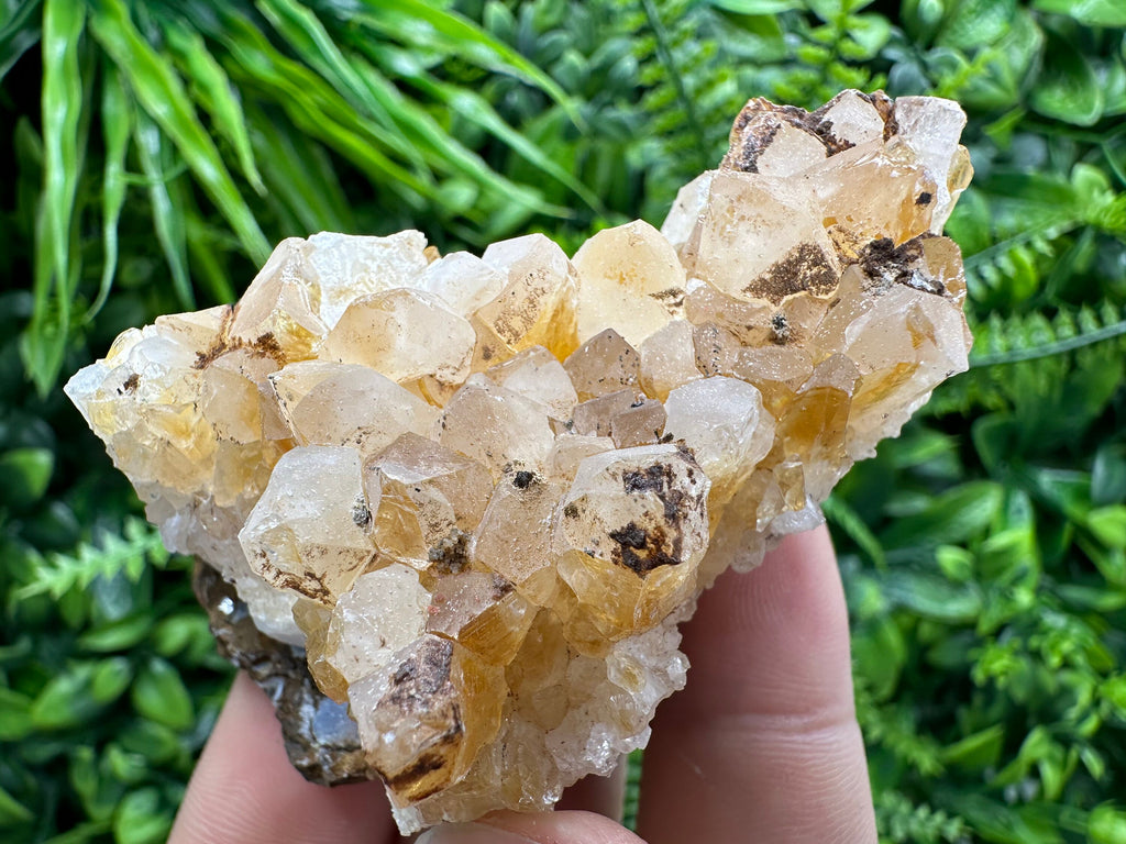 Citrine Crystal Cluster with Hematite Inclusions - Brazil