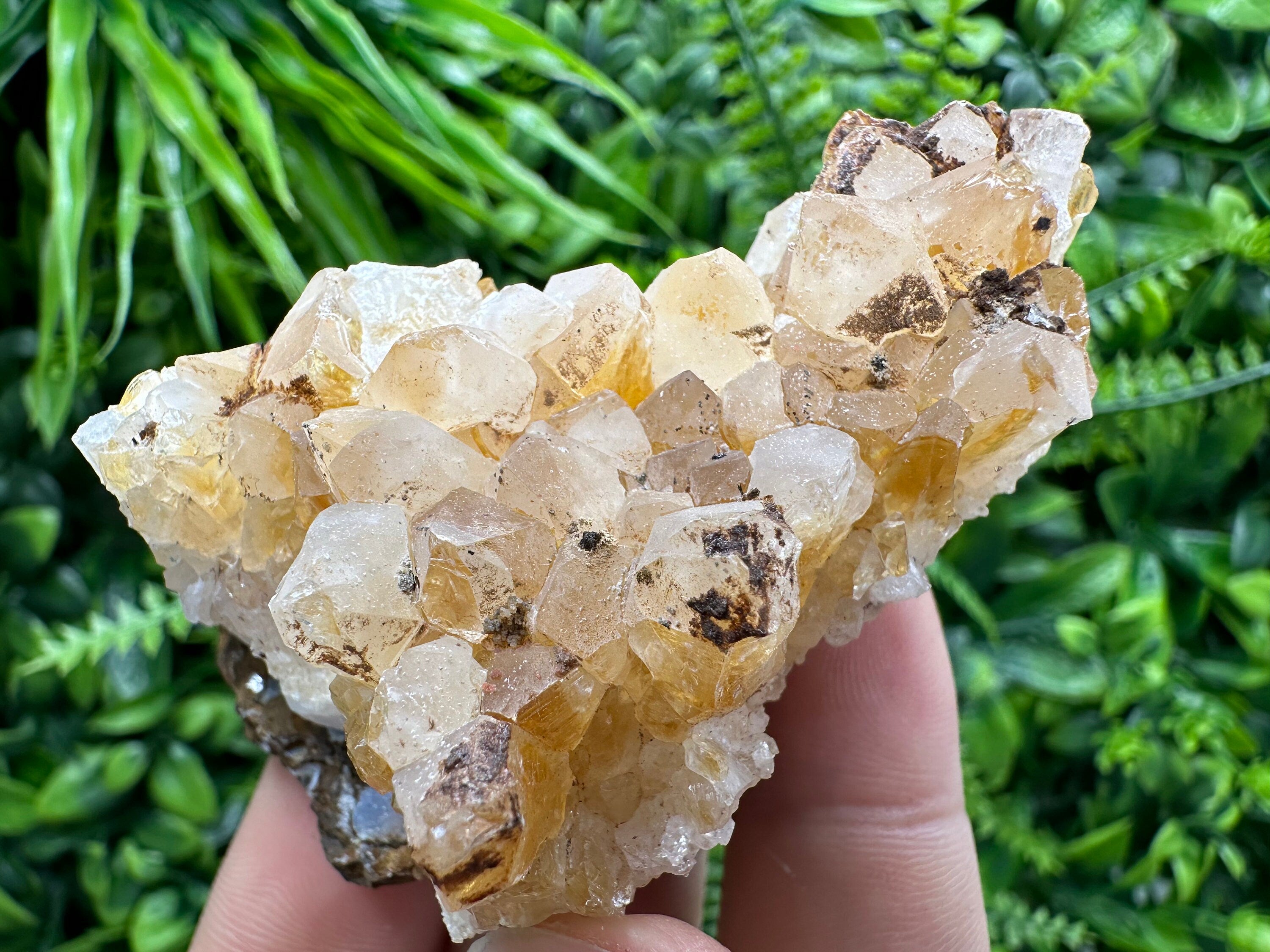 Citrine Crystal Cluster with Hematite Inclusions - Brazil
