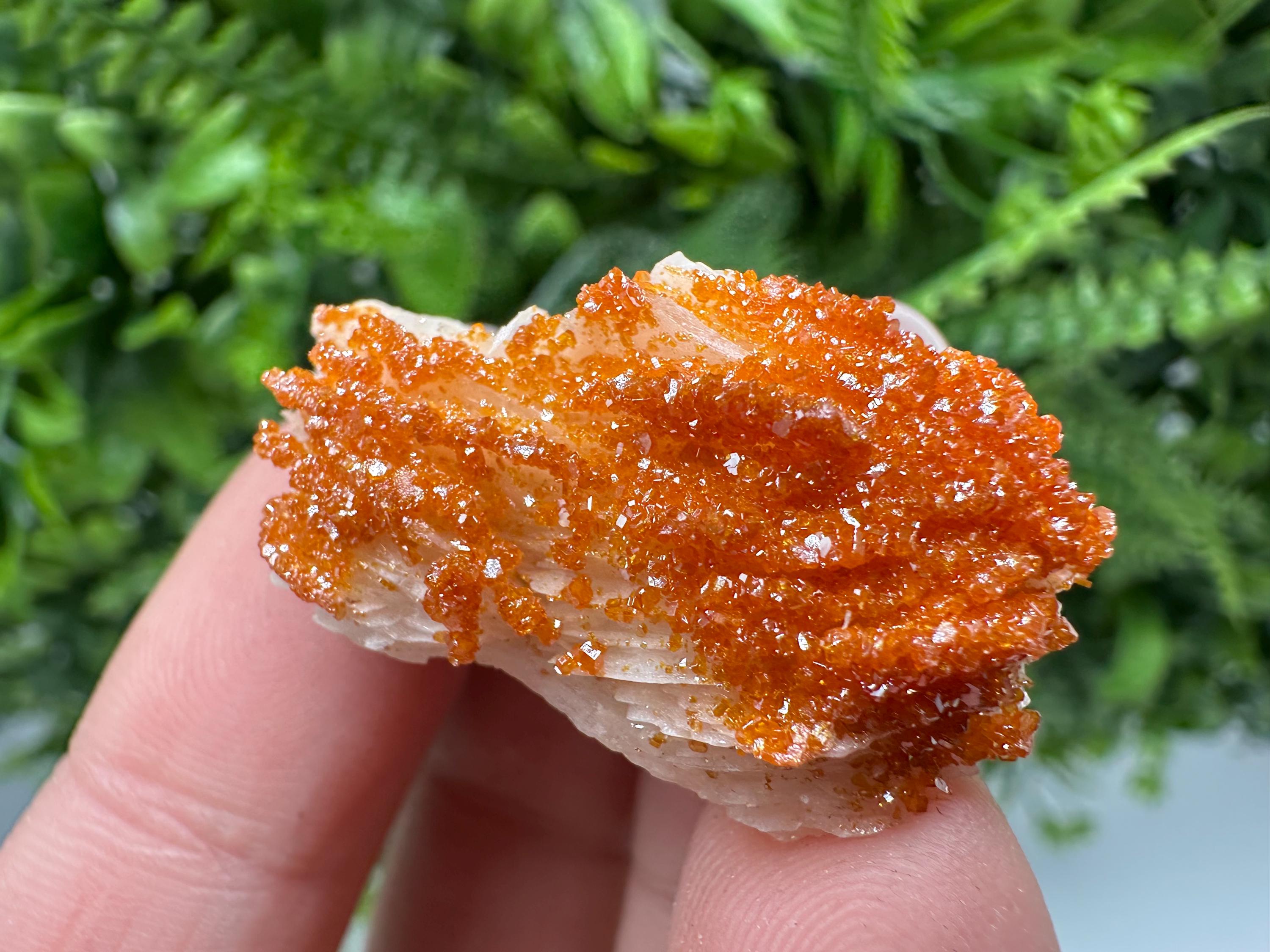 Red Vanadinite on Barite Cluster, Moroccan Crystal Specimen