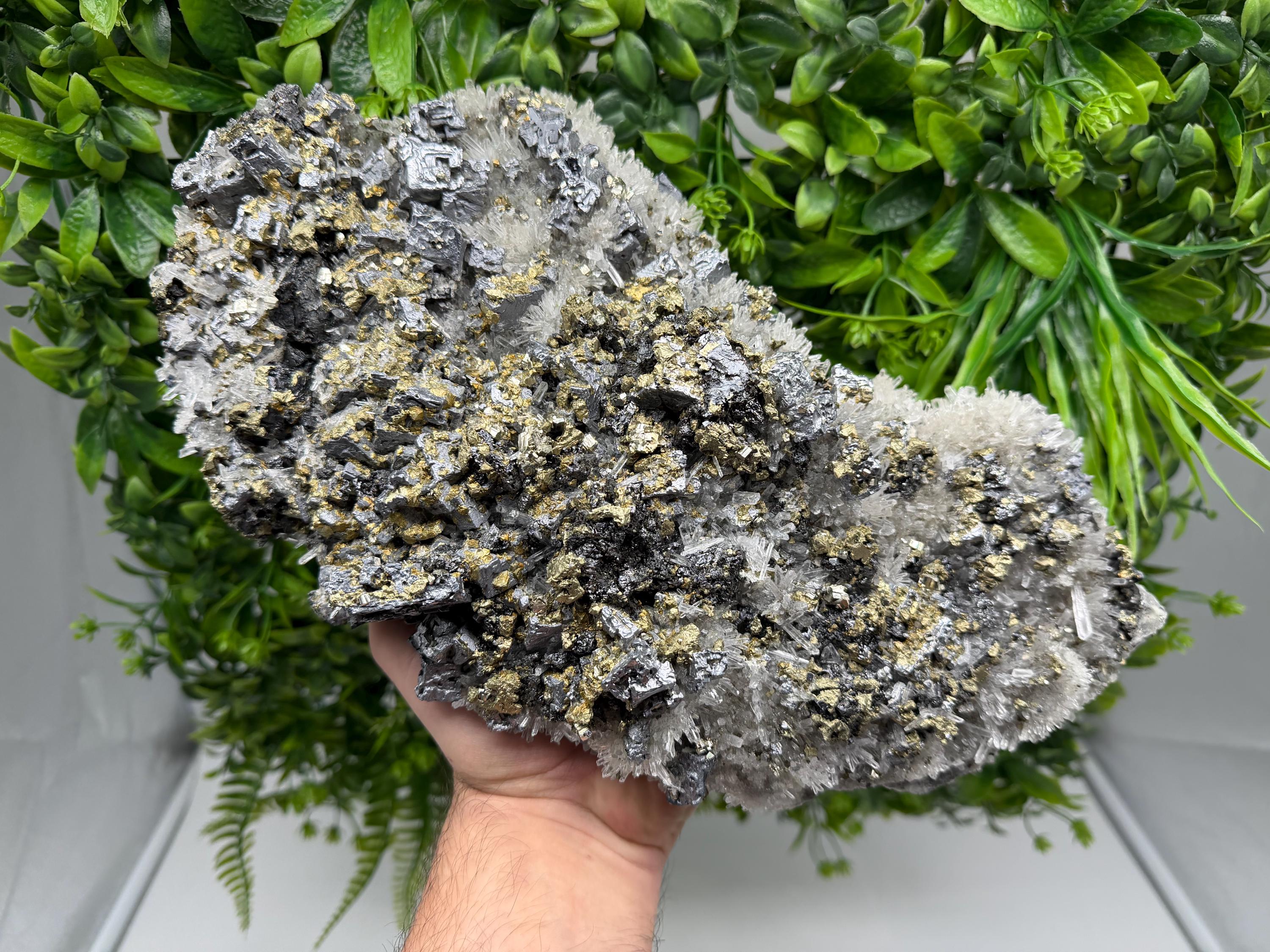 Museum Rare Shiny Galena Cluster whit Chalcopyrite,Pyrite, 9th of September Mine