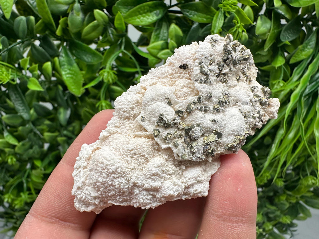 Chalcopyrite on Mangano Calcite: Rare Crystal Mineral Specimen, Bulgaria
