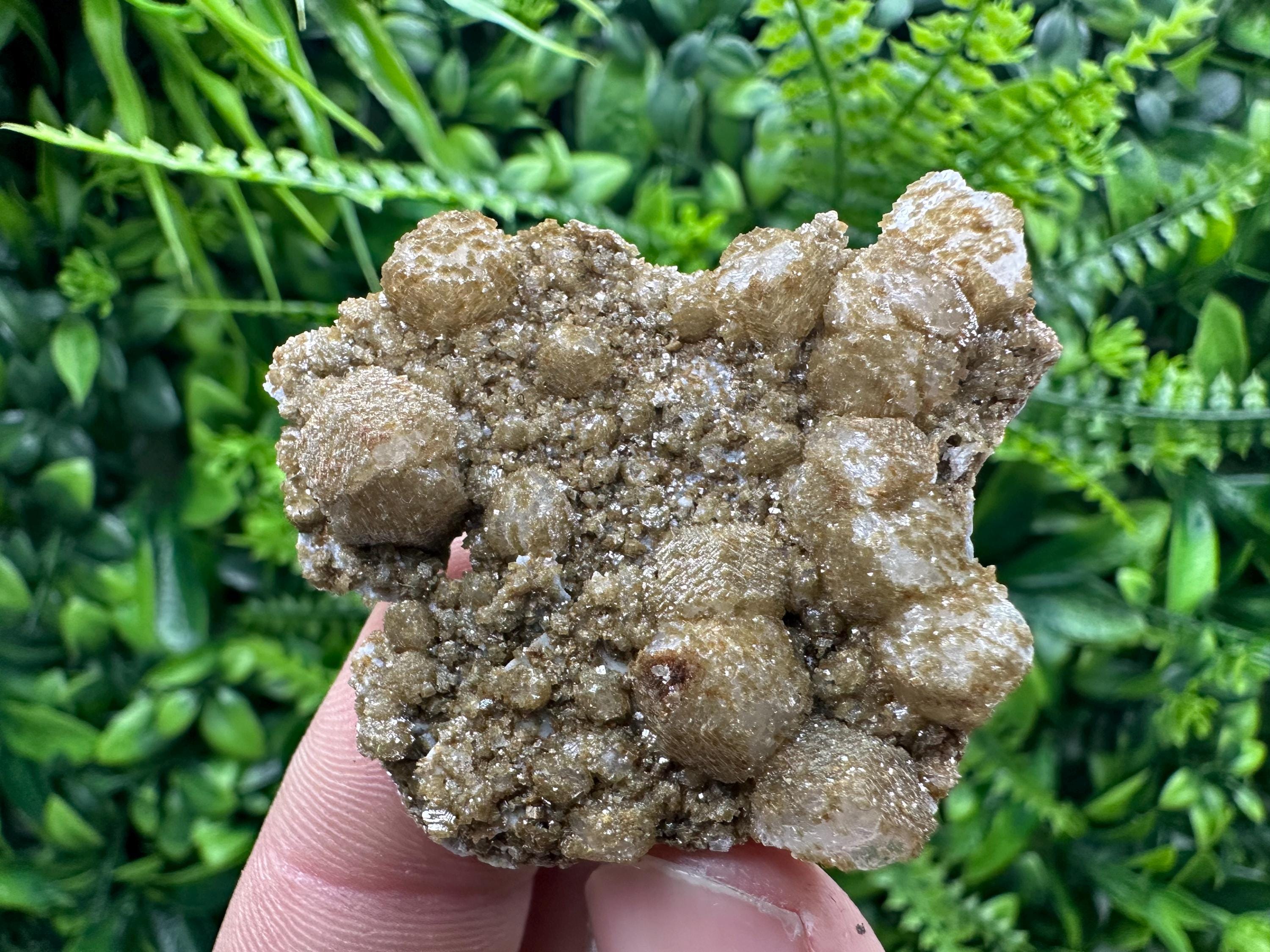 Brown Rhodochrosite on Calcite, Djurcovo Bulgaria, Mineral Specimen
