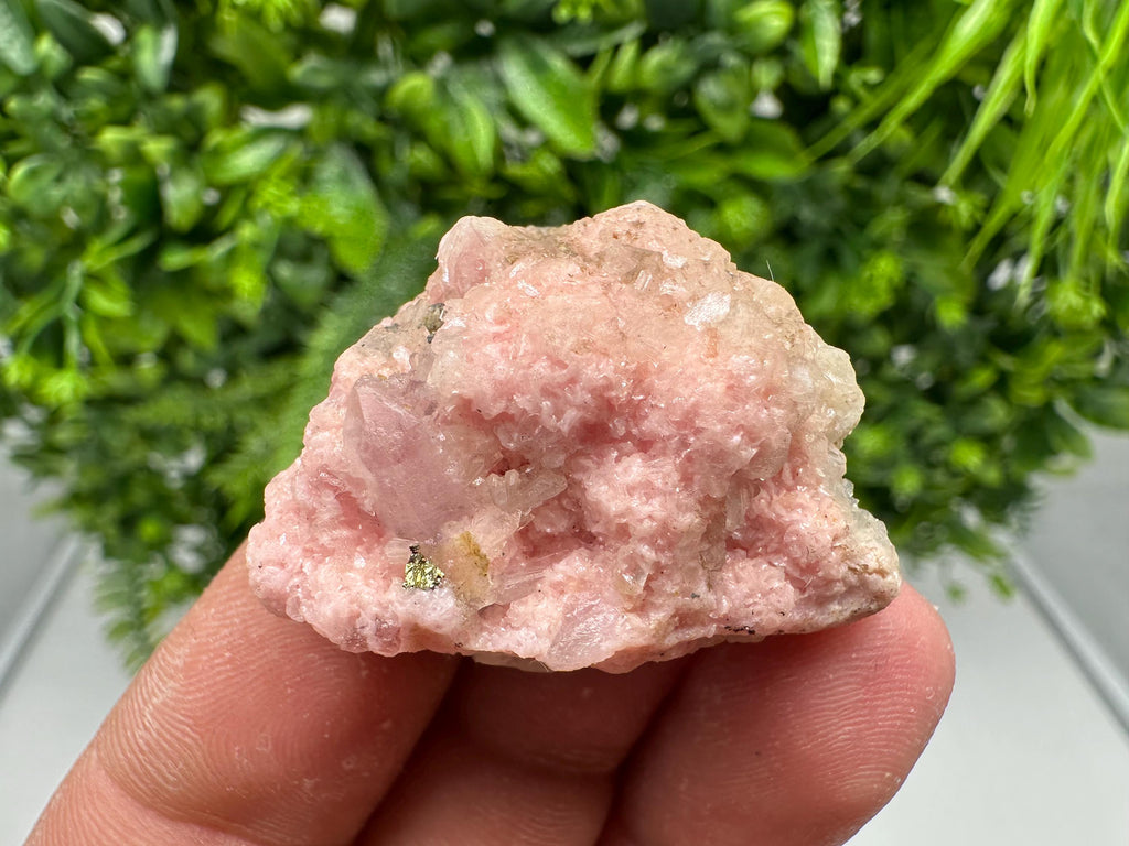 Rhodochrosite on Quartz: Pink Crystal Home Decor, Bulgaria Mineral Souvenir