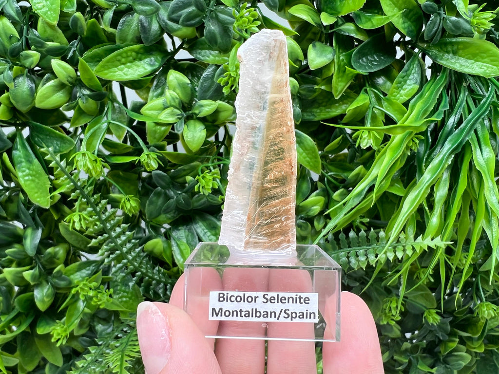 Golden Phantom Selenite Slab: Utah Raw Crystal Wand