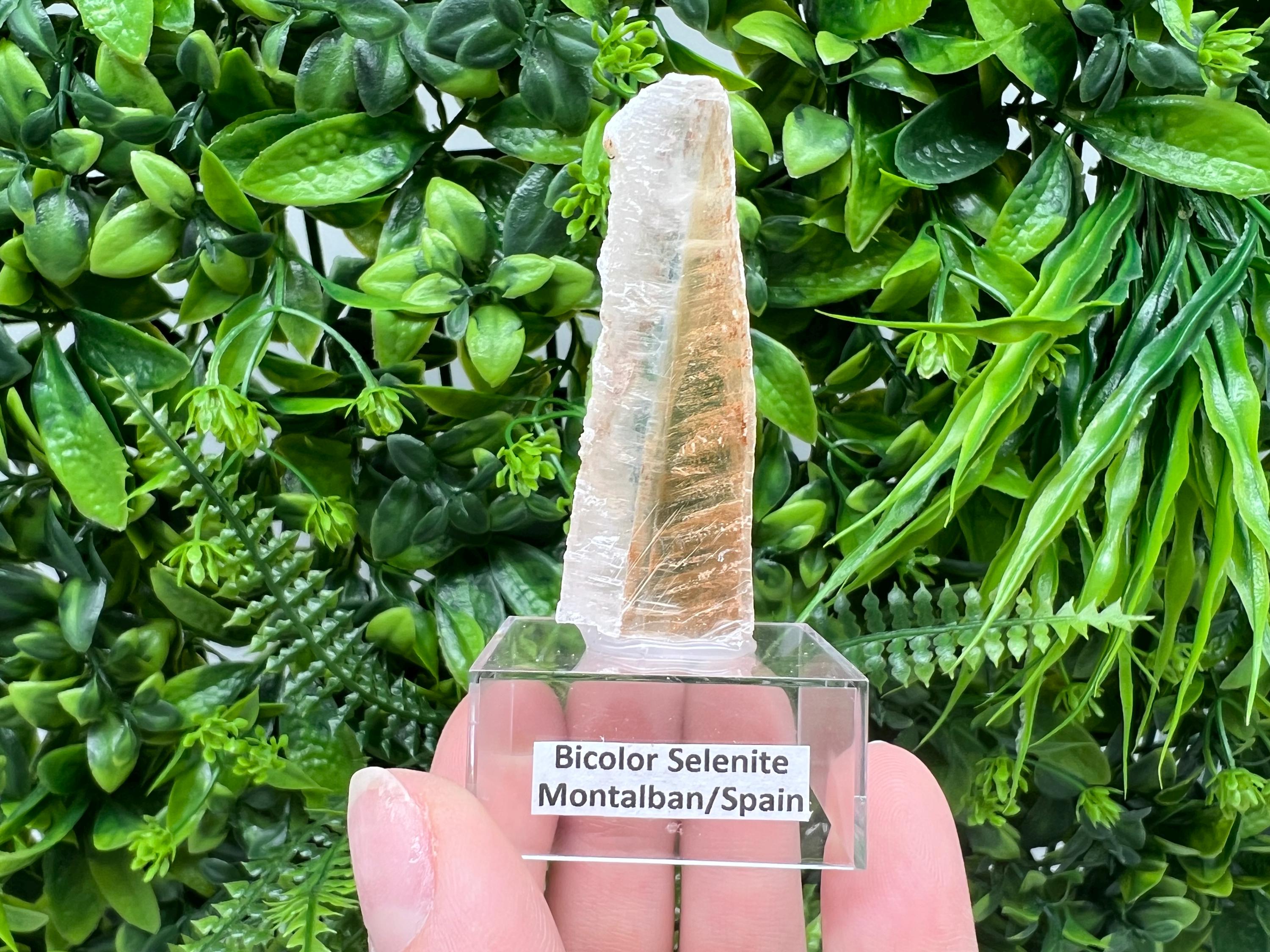 Golden Phantom Selenite Slab: Utah Raw Crystal Wand