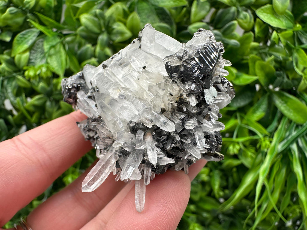 Wonderful Sphalerite Chalcopyrite on  Quartz whit Galena feom 9 th September mine,Bulgaria,natural,collection mineral specimen,gift