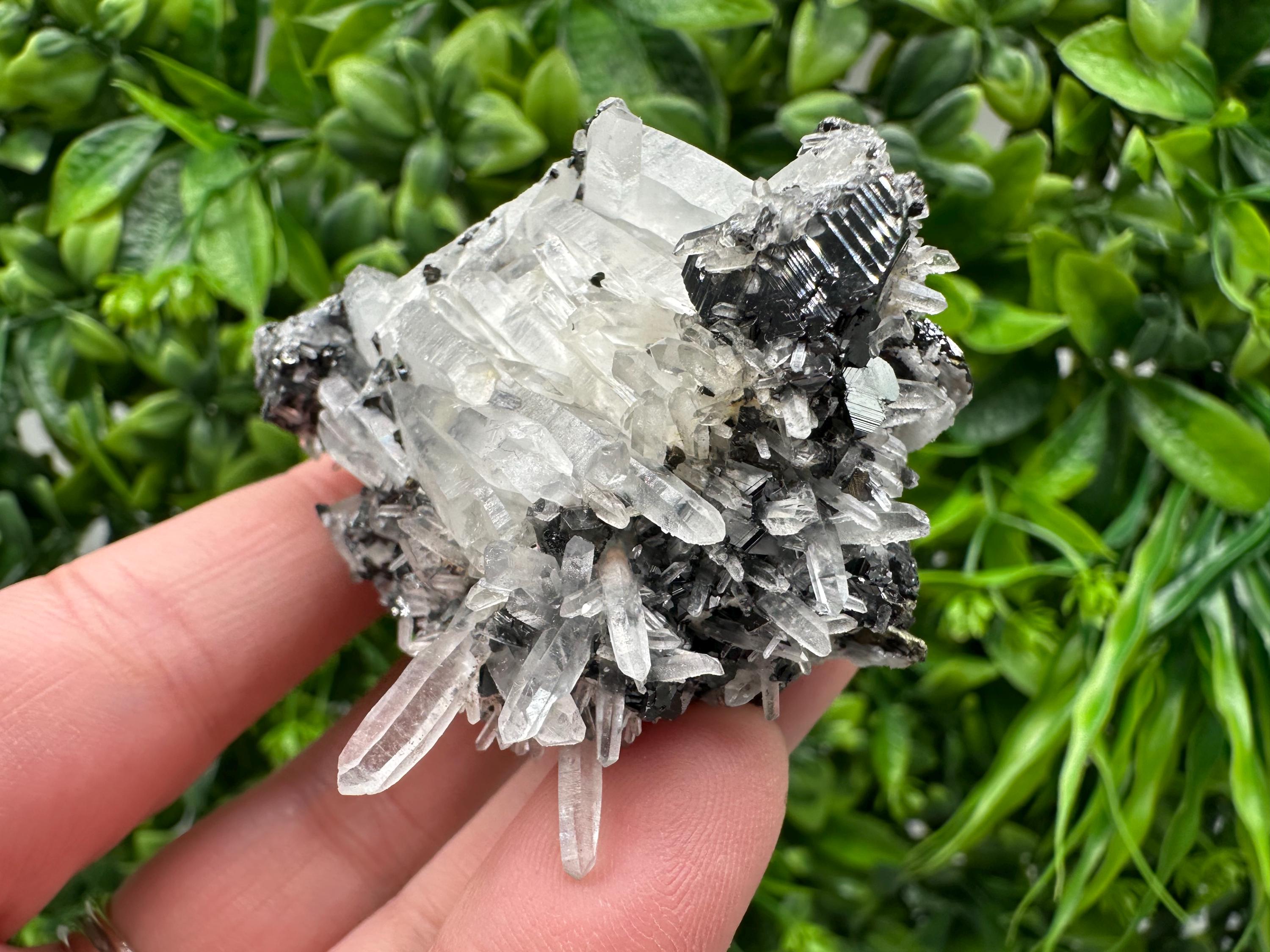 Wonderful Sphalerite Chalcopyrite on  Quartz whit Galena feom 9 th September mine,Bulgaria,natural,collection mineral specimen,gift