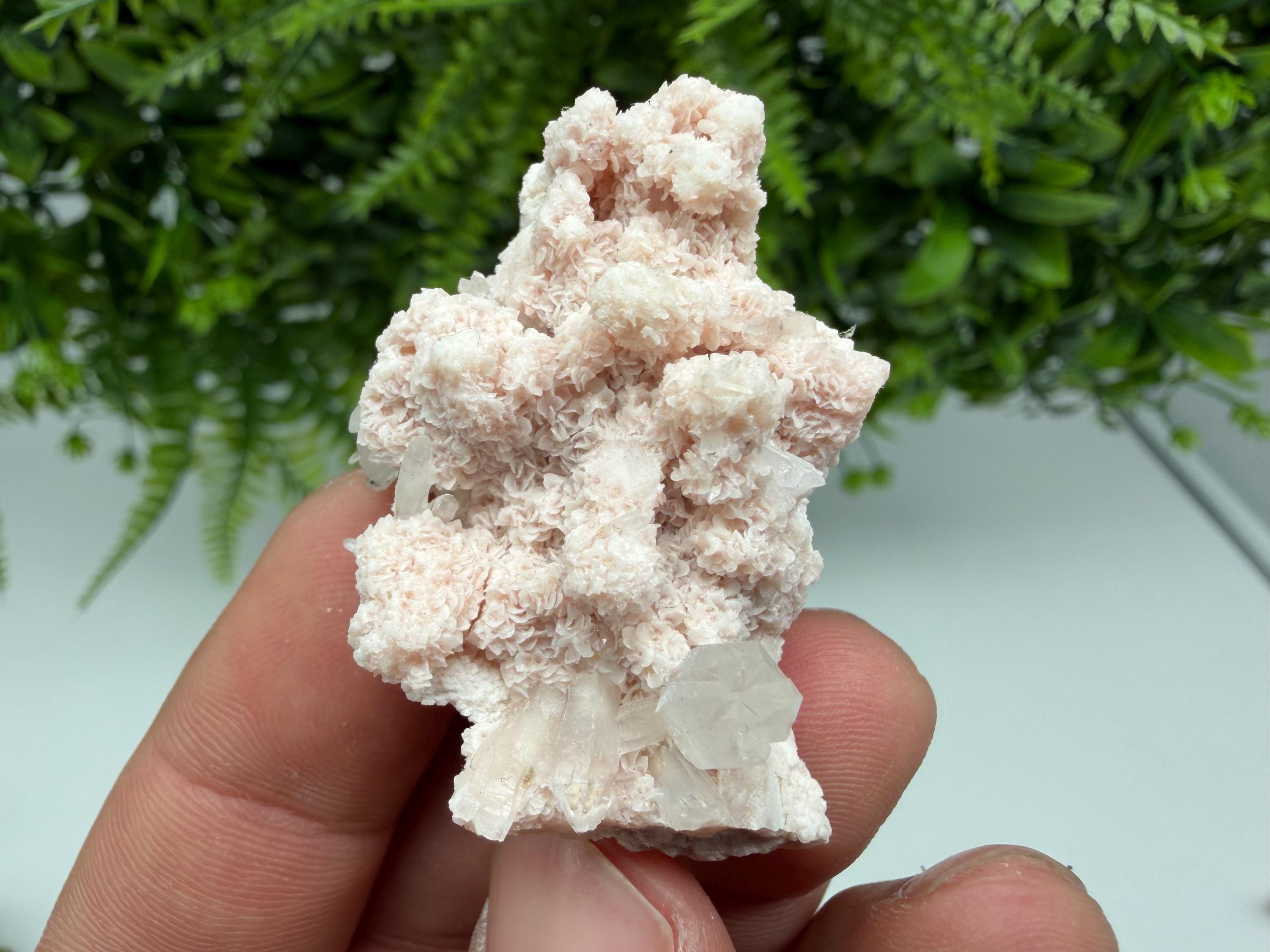 Stunning Quartz whit Chlorite on Rhodochrosite covered whit siderite natural minerals souvenir crystal home decor stone 9th September mine