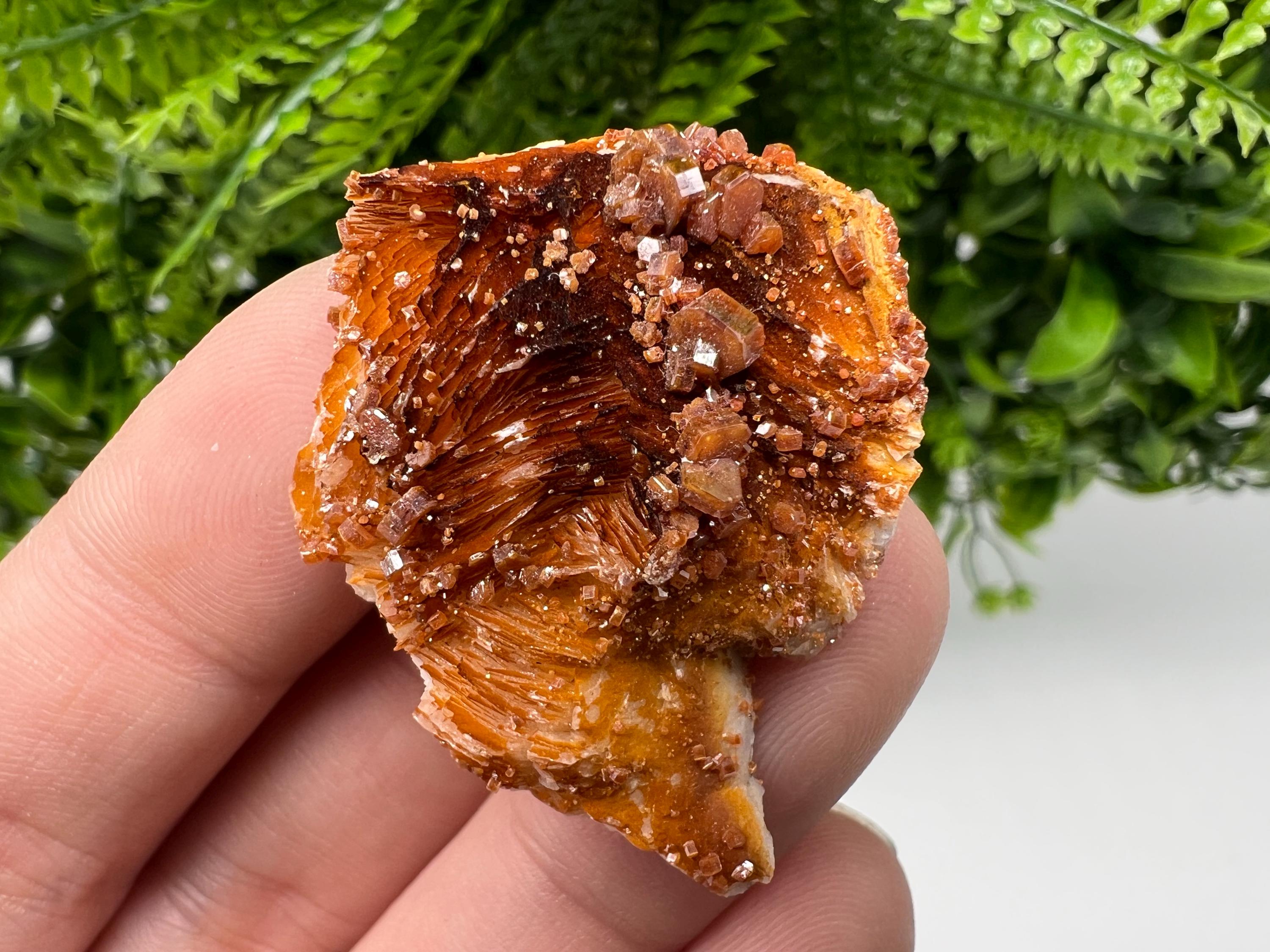 Red Vanadinite on Barite, Morocco Mineral Specimen