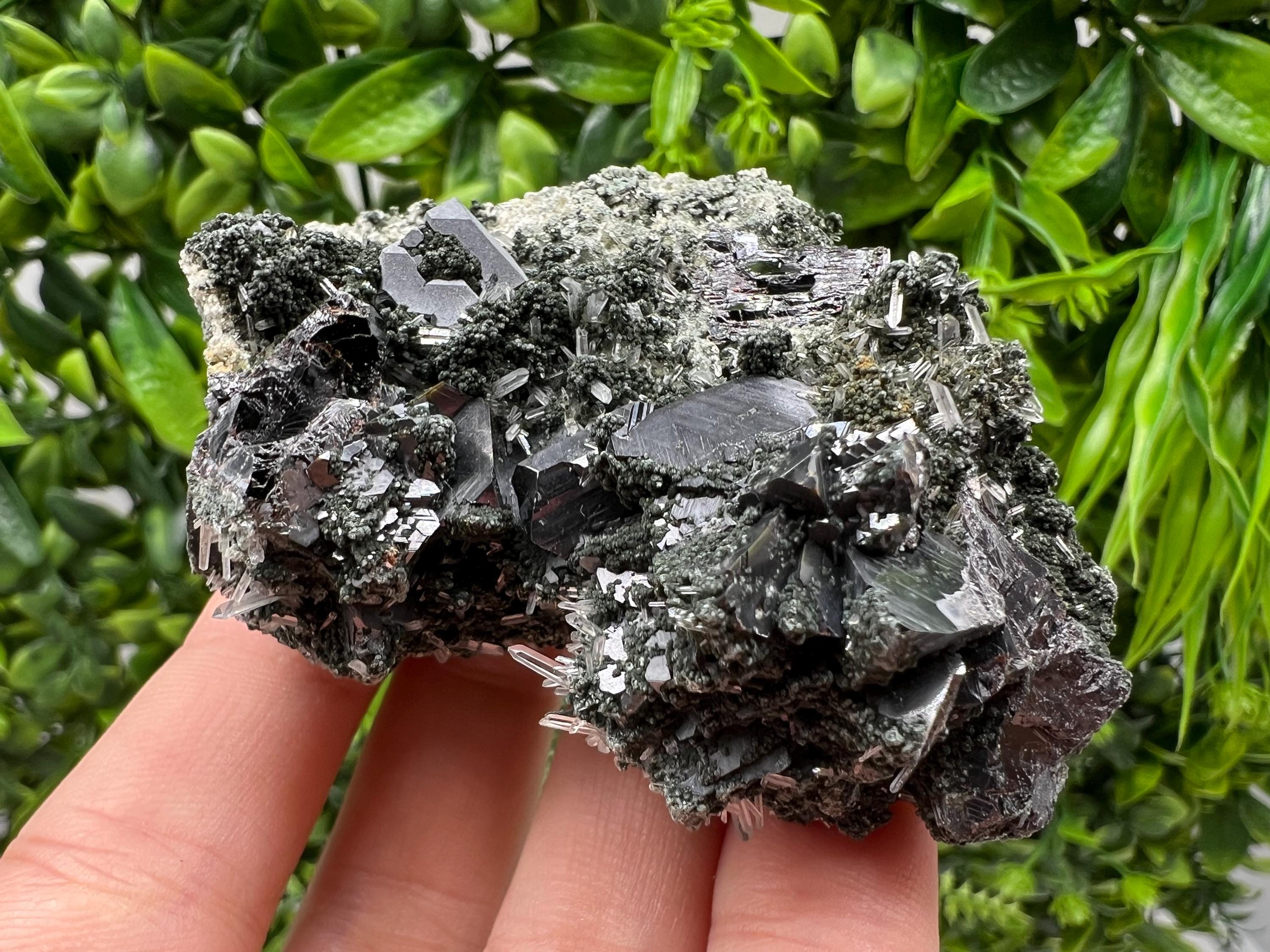Sphalerite Galena Crystal: Chlorite Mineral Specimen, Bulgaria